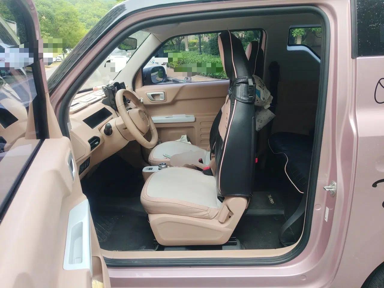 Geely Galaxy Panda 2023 Panda Mini 200km Endurance Bear — миниатюра 15