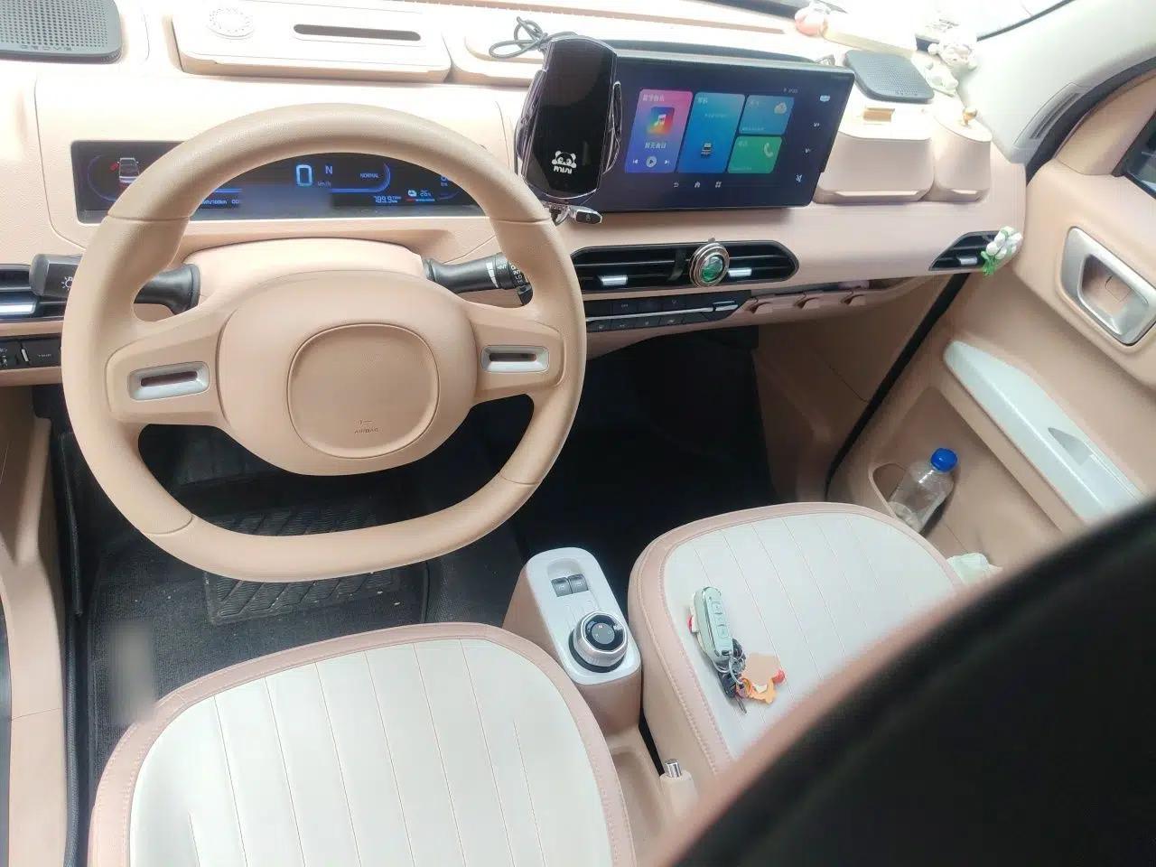 Geely Galaxy Panda 2023 Panda Mini 200km Endurance Bear — миниатюра 9