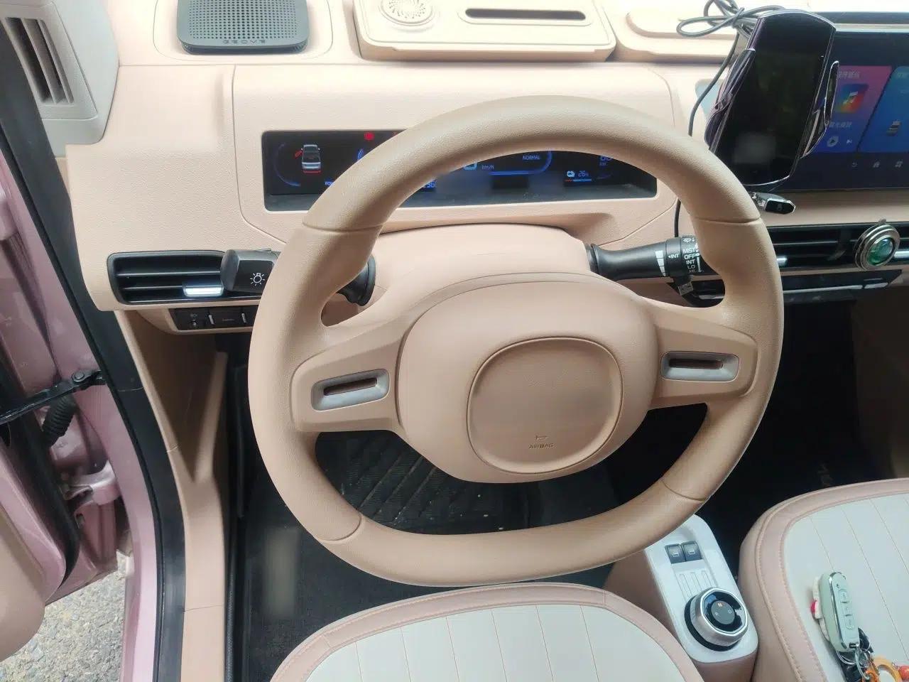 Geely Galaxy Panda 2023 Panda Mini 200km Endurance Bear — миниатюра 10