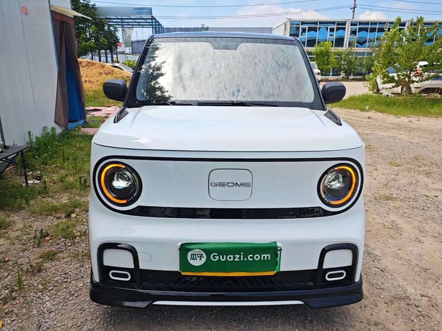 Geely Galaxy Panda 2025 210km Panda Kart — миниатюра 2