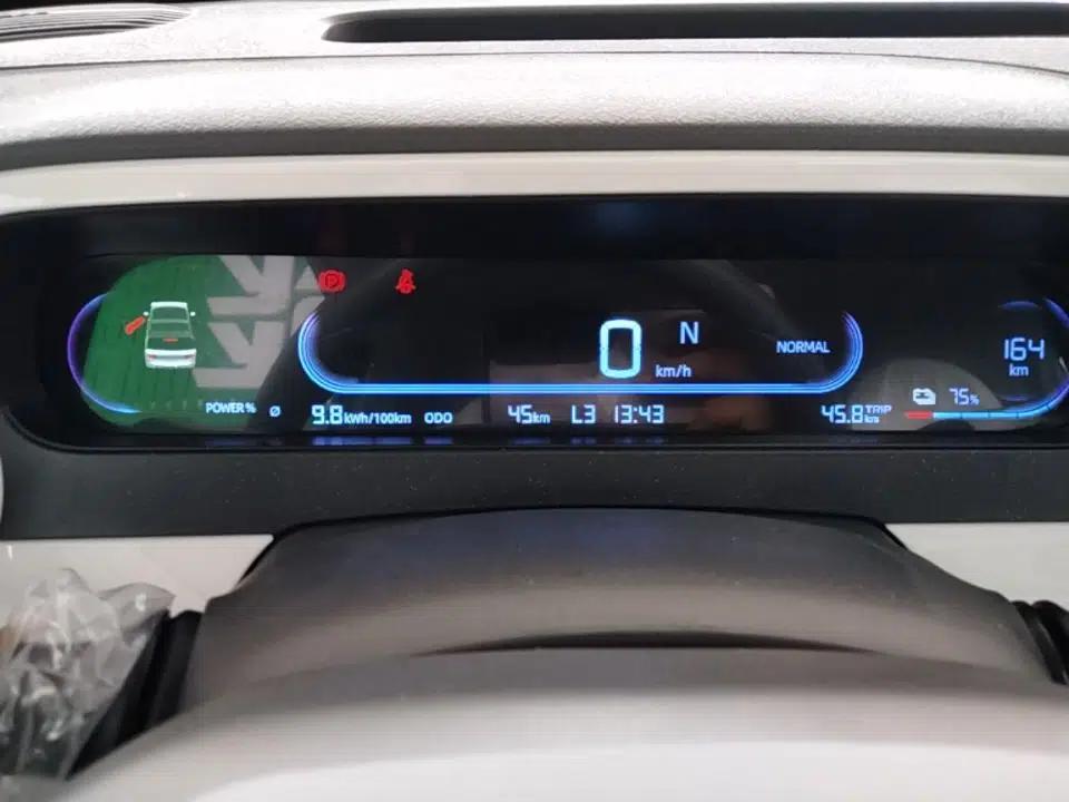 Geely Galaxy Panda 2025 210 km – Yuanqi Bear — миниатюра 14