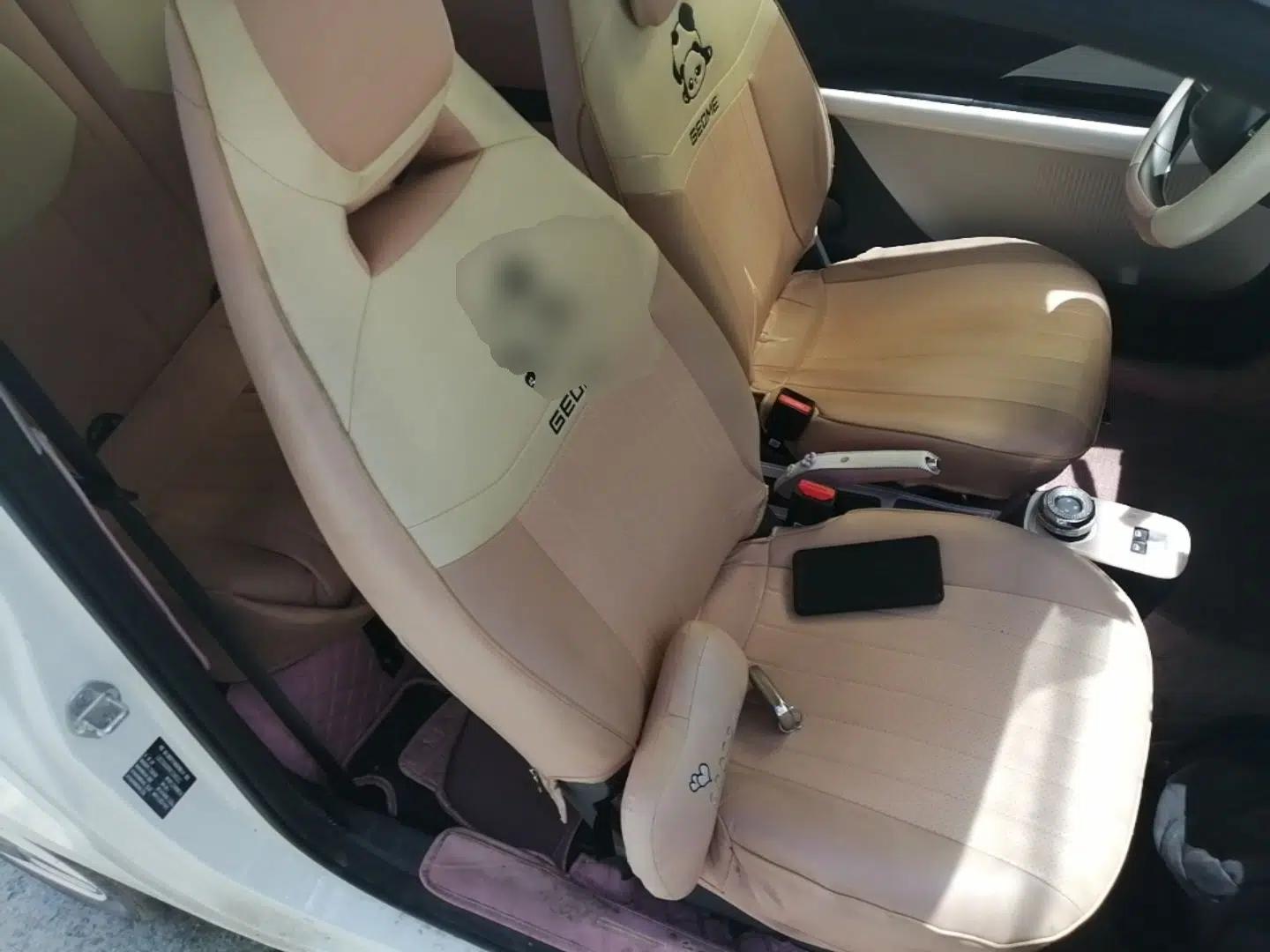 Geely Galaxy Panda 2025 210 km – Yuanqi Bear — миниатюра 19