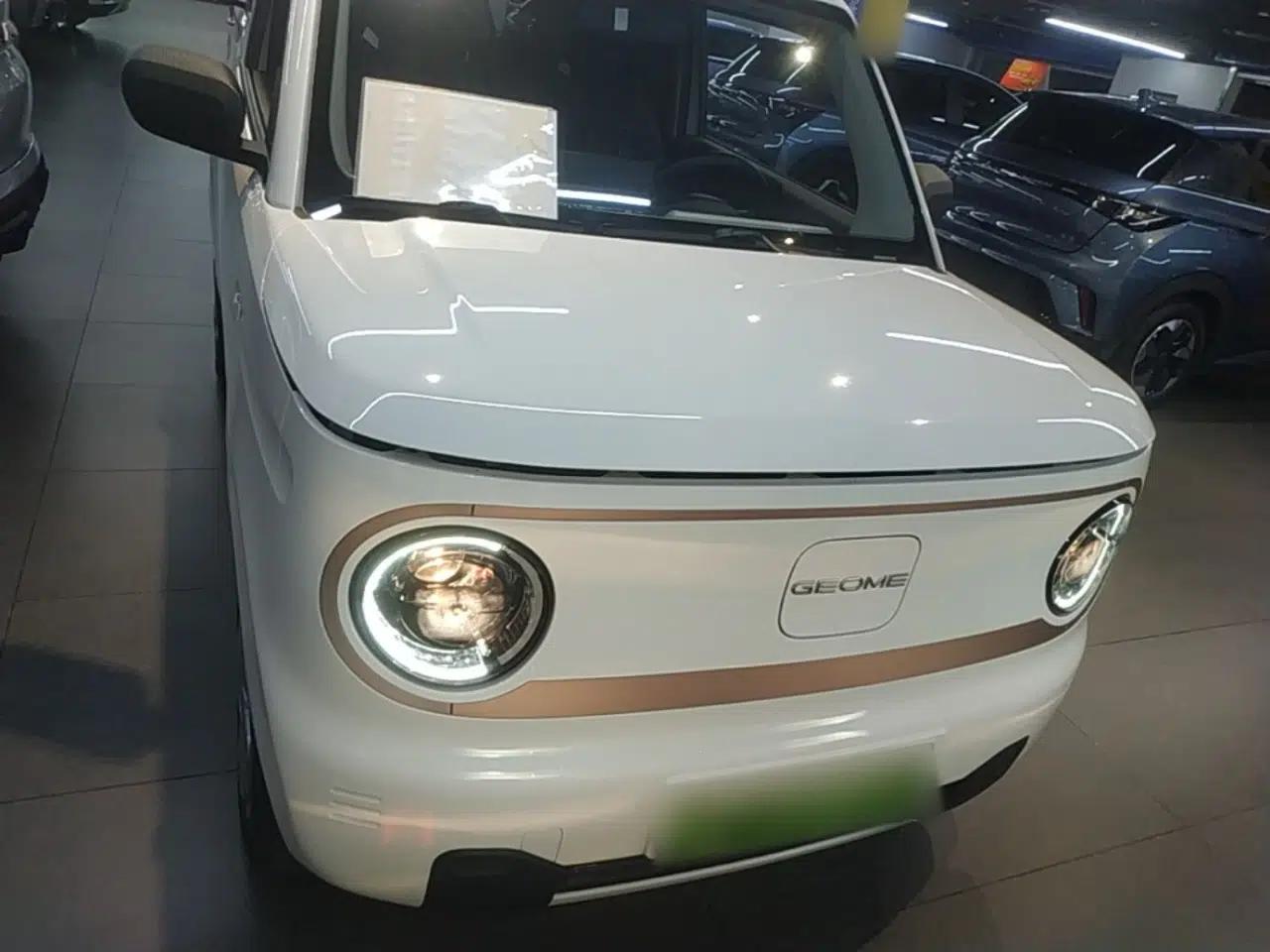 Geely Galaxy Panda 2024 Panda Mini 200km Endurance Bear — миниатюра 2