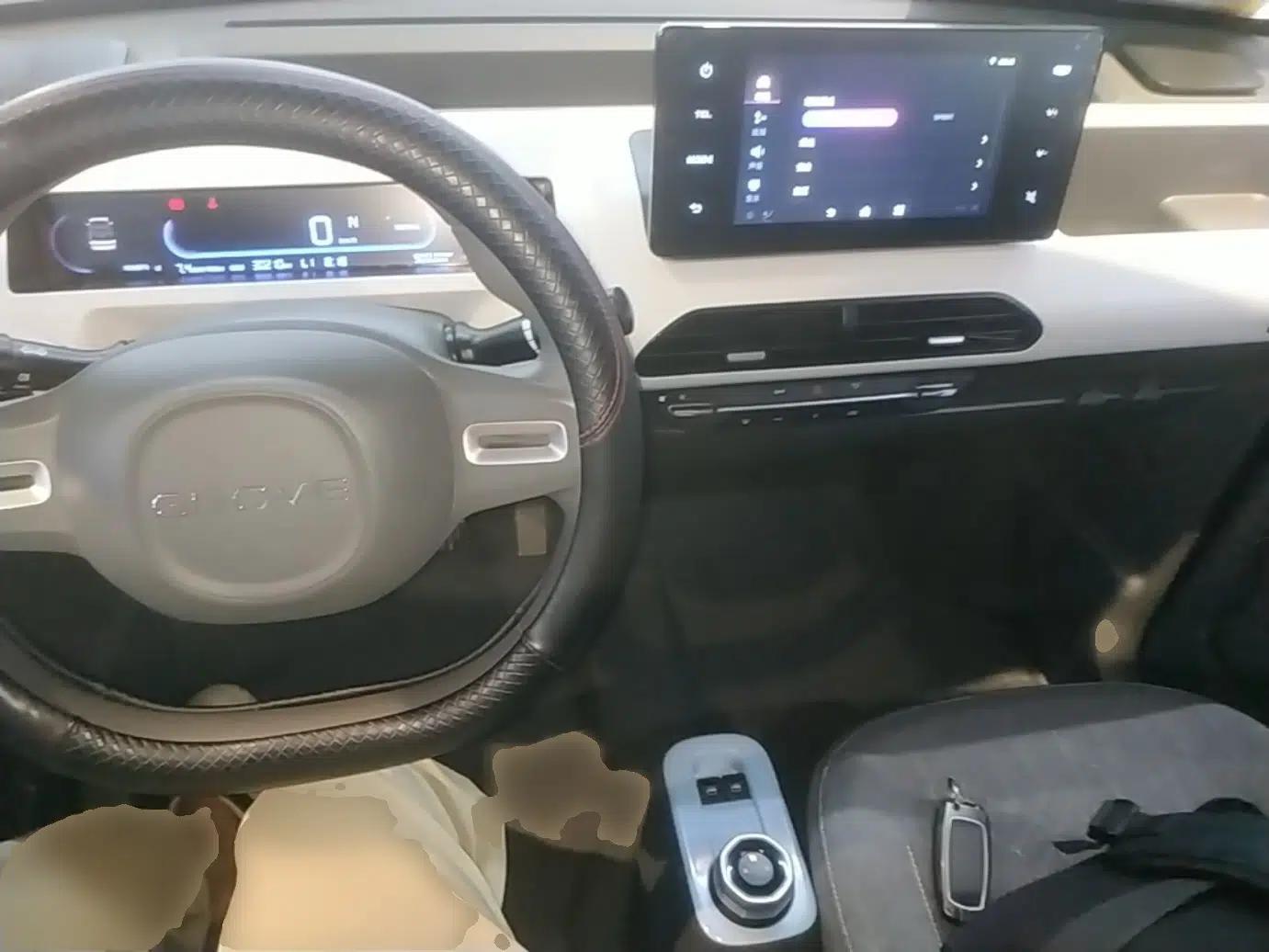 Geely Galaxy Panda 2024 Panda Mini 200km Endurance Bear — миниатюра 12