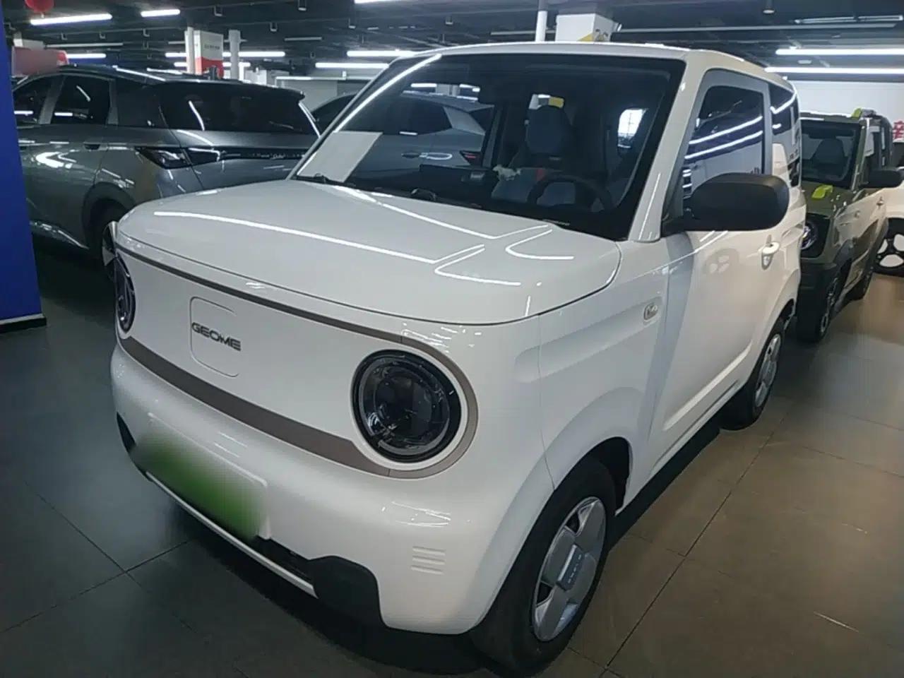 Geely Galaxy Panda 2023 Panda Mini 200km Endurance Bear — миниатюра 1