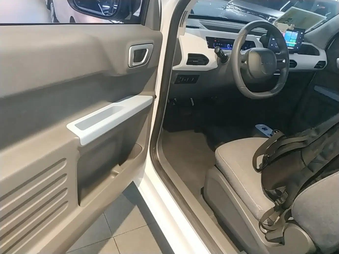 Geely Galaxy Panda 2023 Panda Mini 200km Endurance Bear — миниатюра 18