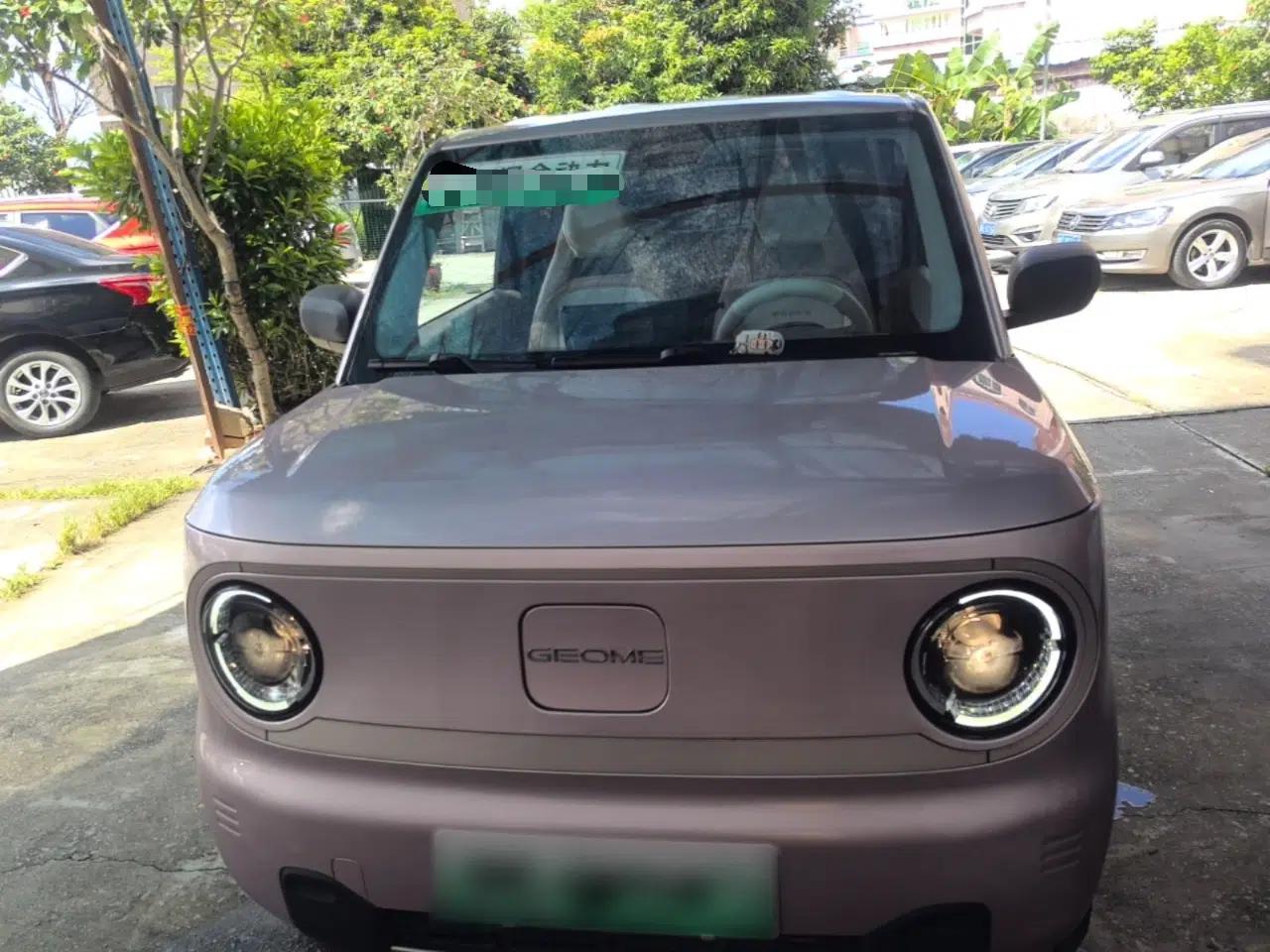 Geely Galaxy Panda 2024 Panda Mini 200km Dragon Edition — миниатюра 2