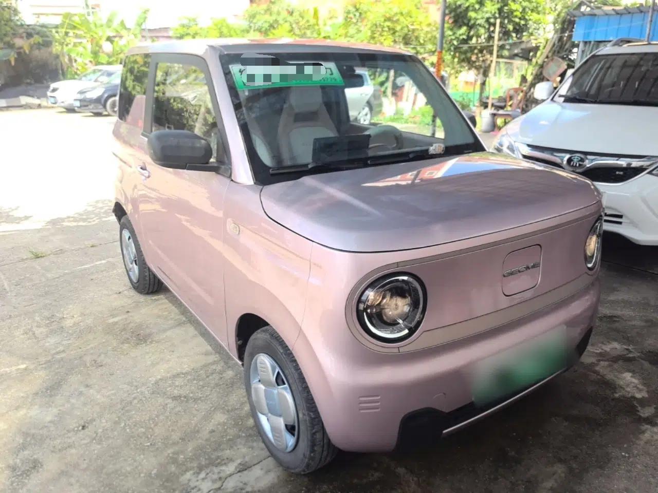 Geely Galaxy Panda 2024 Panda Mini 200km Dragon Edition — миниатюра 12