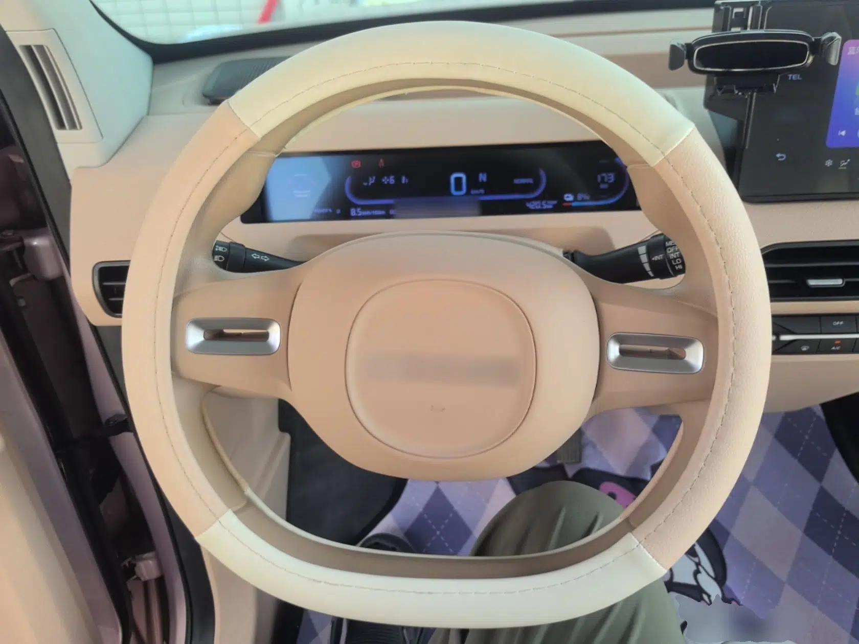 Geely Galaxy Panda 2024 Panda Mini 200km Dragon Edition — миниатюра 18
