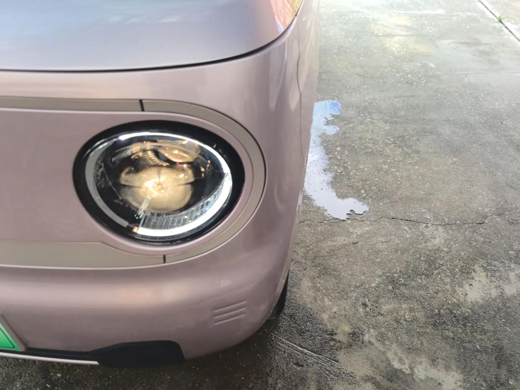 Geely Galaxy Panda 2024 Panda Mini 200km Dragon Edition — миниатюра 8