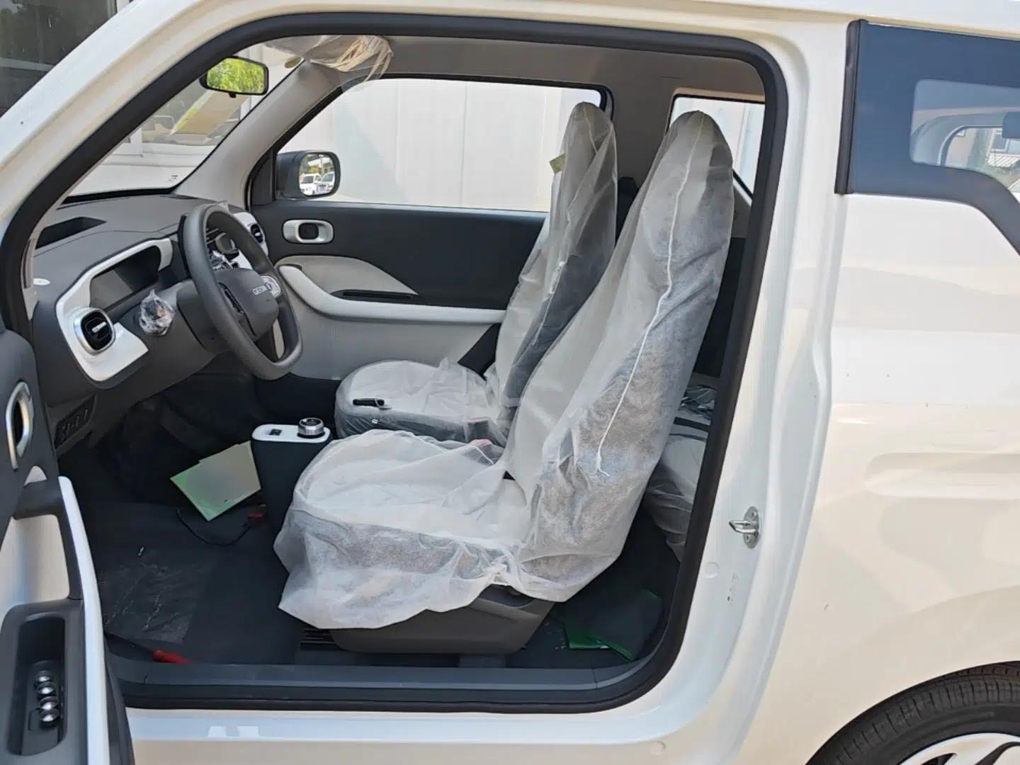 Geely Galaxy Panda 2025 210 km – Yuanqi Bear — миниатюра 17
