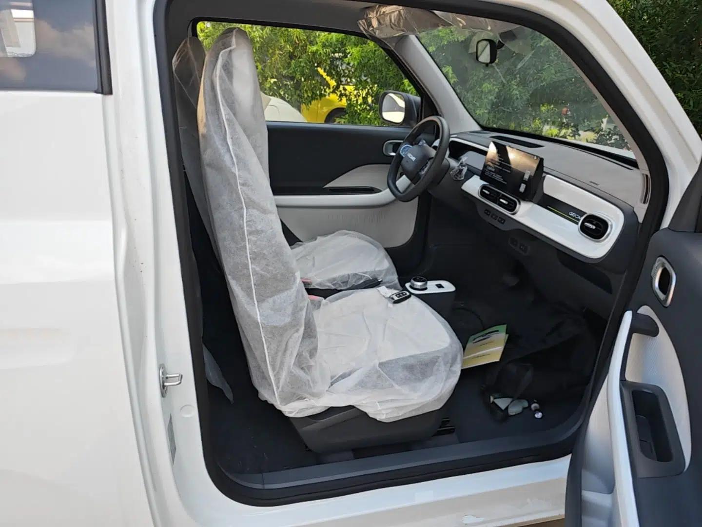 Geely Galaxy Panda 2025 210 km – Yuanqi Bear — миниатюра 19