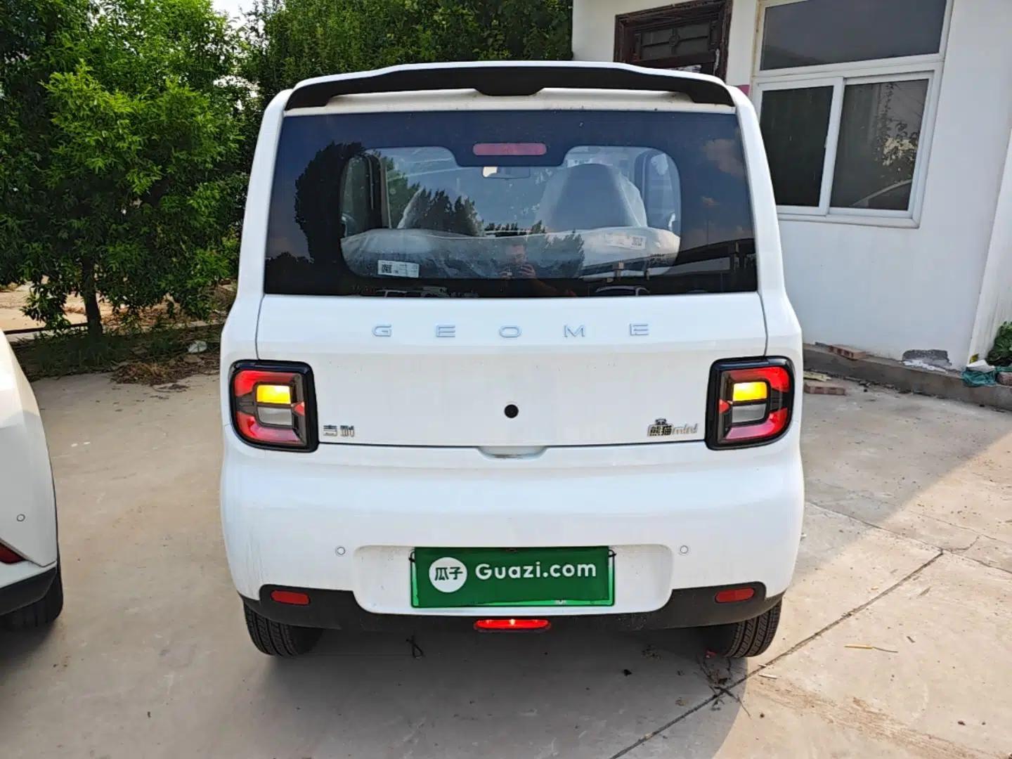Geely Galaxy Panda 2025 210 km – Yuanqi Bear — миниатюра 5