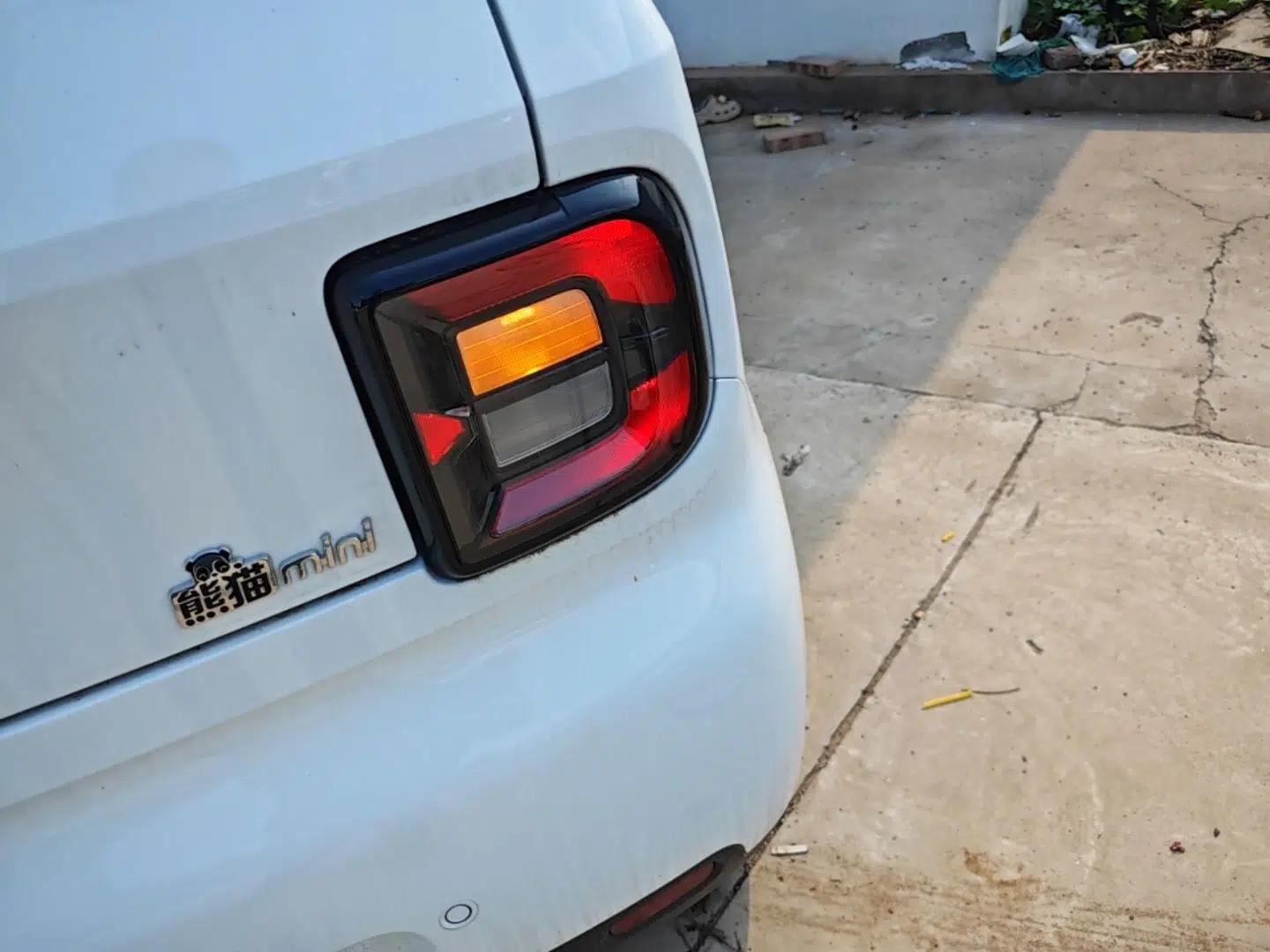 Geely Galaxy Panda 2025 210 km – Yuanqi Bear — миниатюра 9