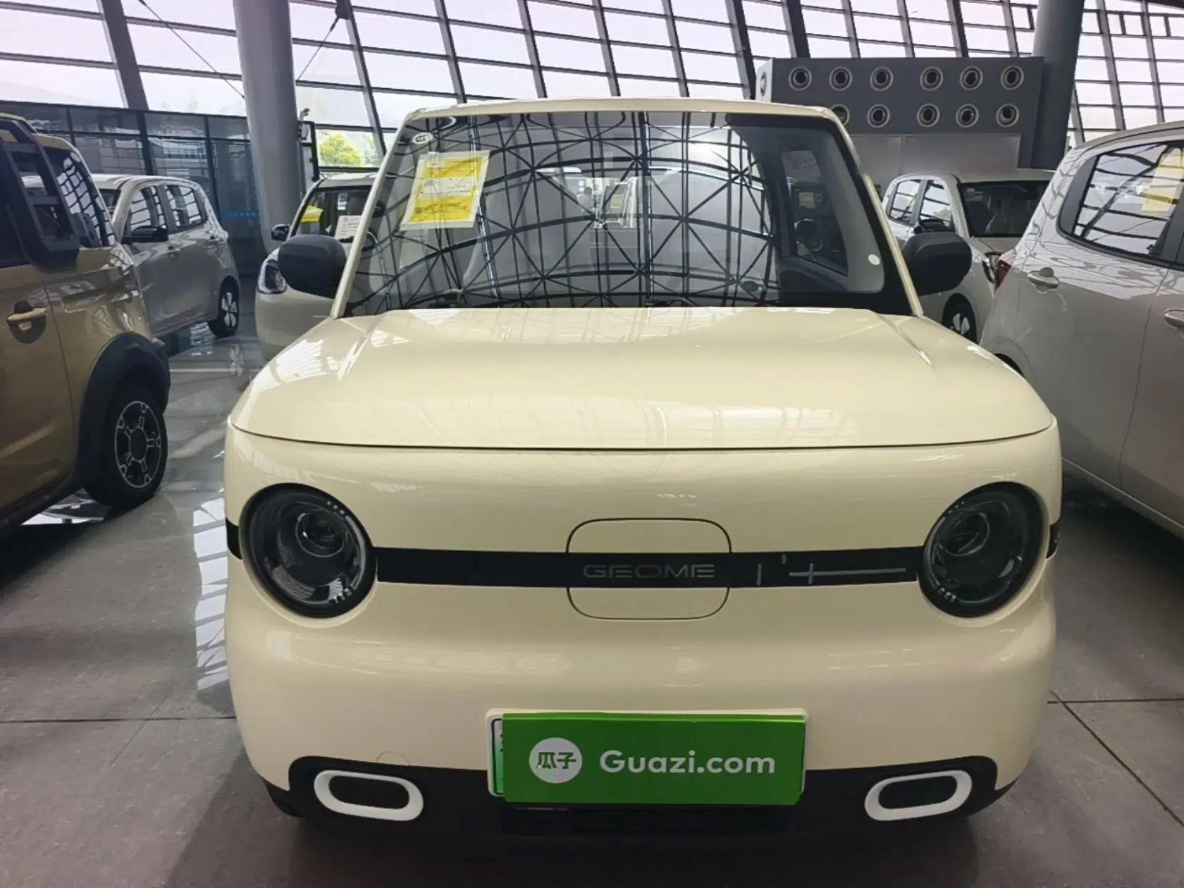Geely Galaxy Panda 2025 210 km – Yuanqi Bear — миниатюра 2