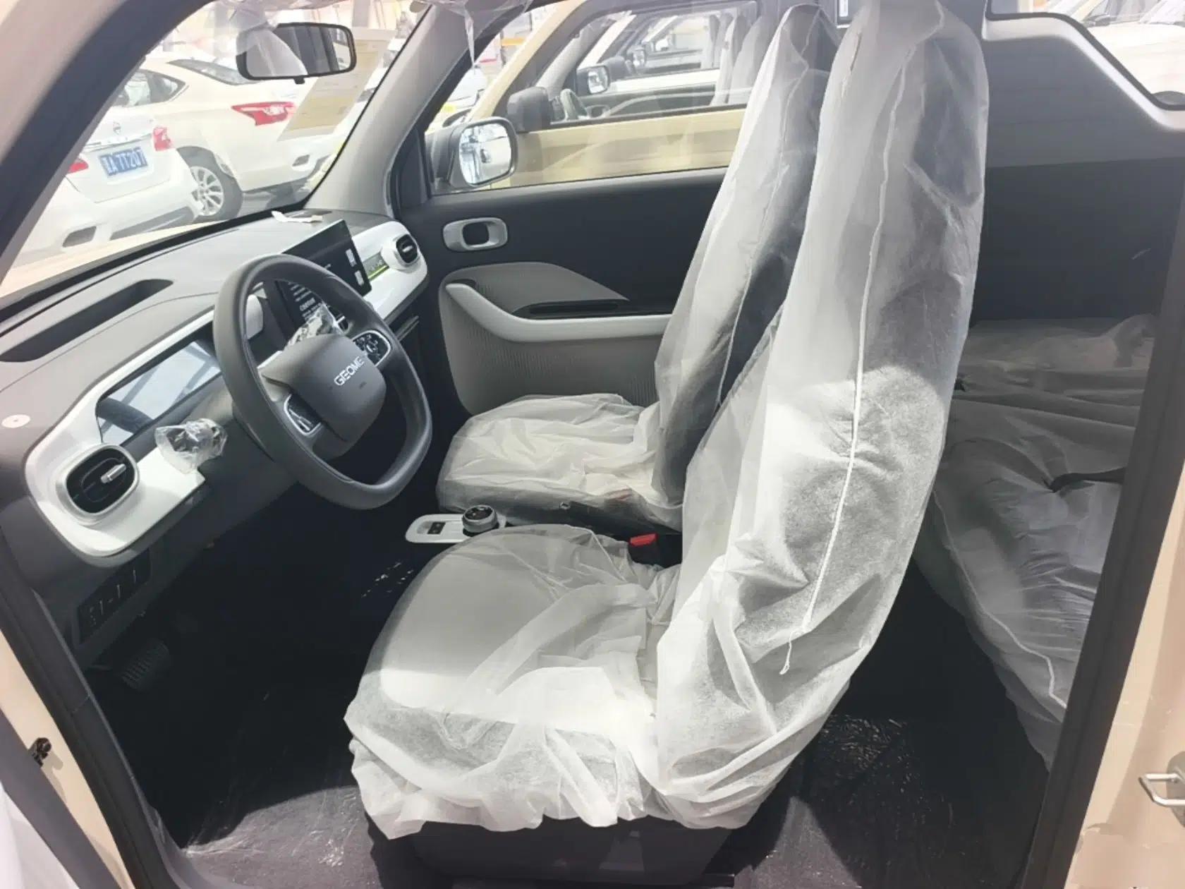 Geely Galaxy Panda 2025 210 km – Yuanqi Bear — миниатюра 17