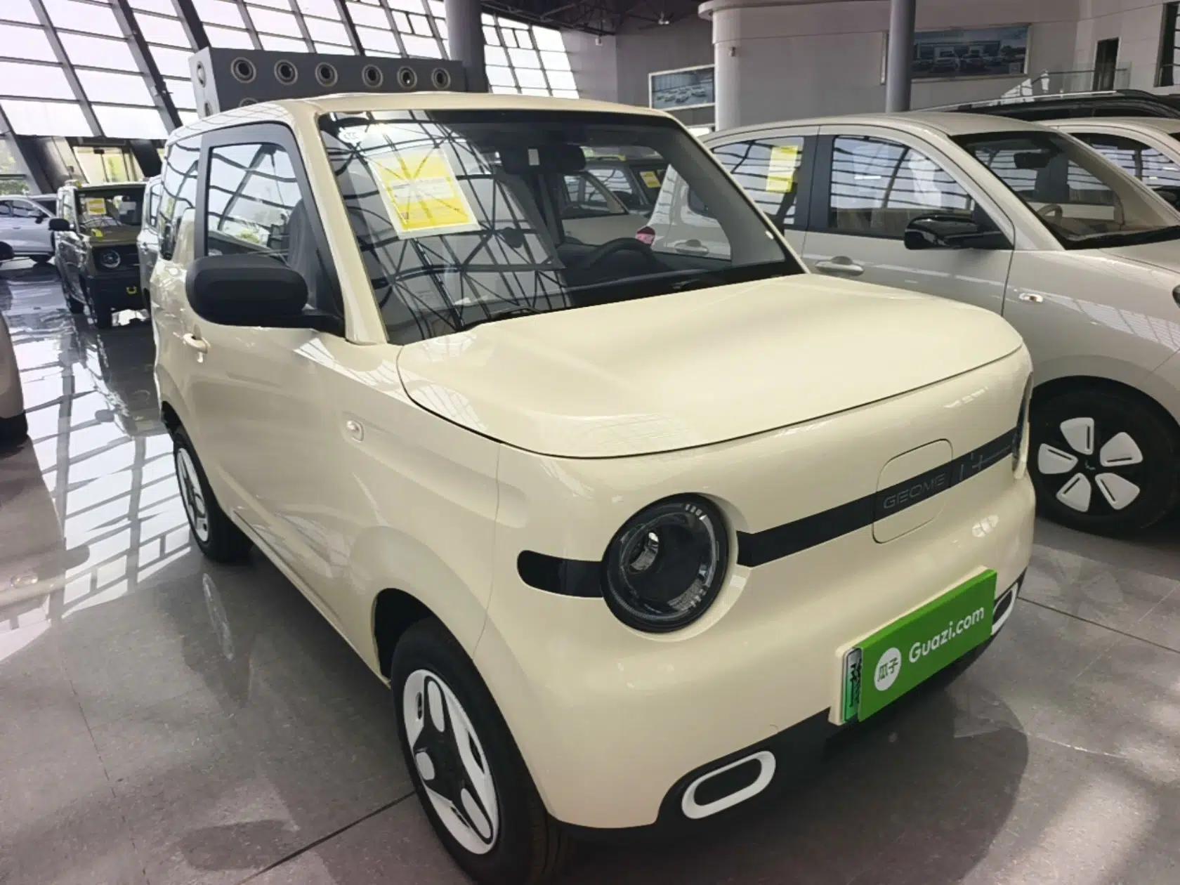 Geely Galaxy Panda 2025 210 km – Yuanqi Bear — миниатюра 3