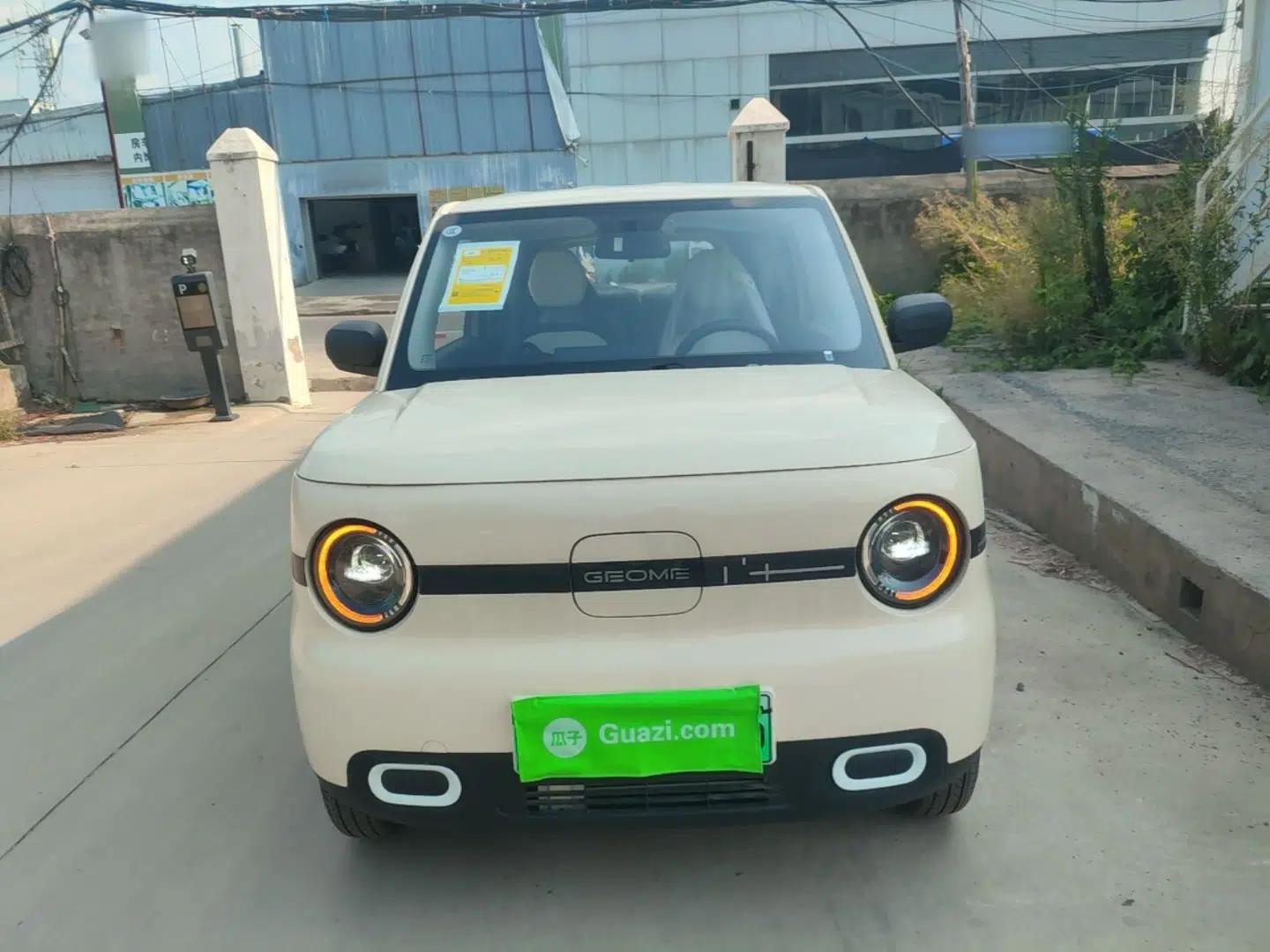 Geely Galaxy Panda 2025 210 km – Yuanqi Bear — миниатюра 2