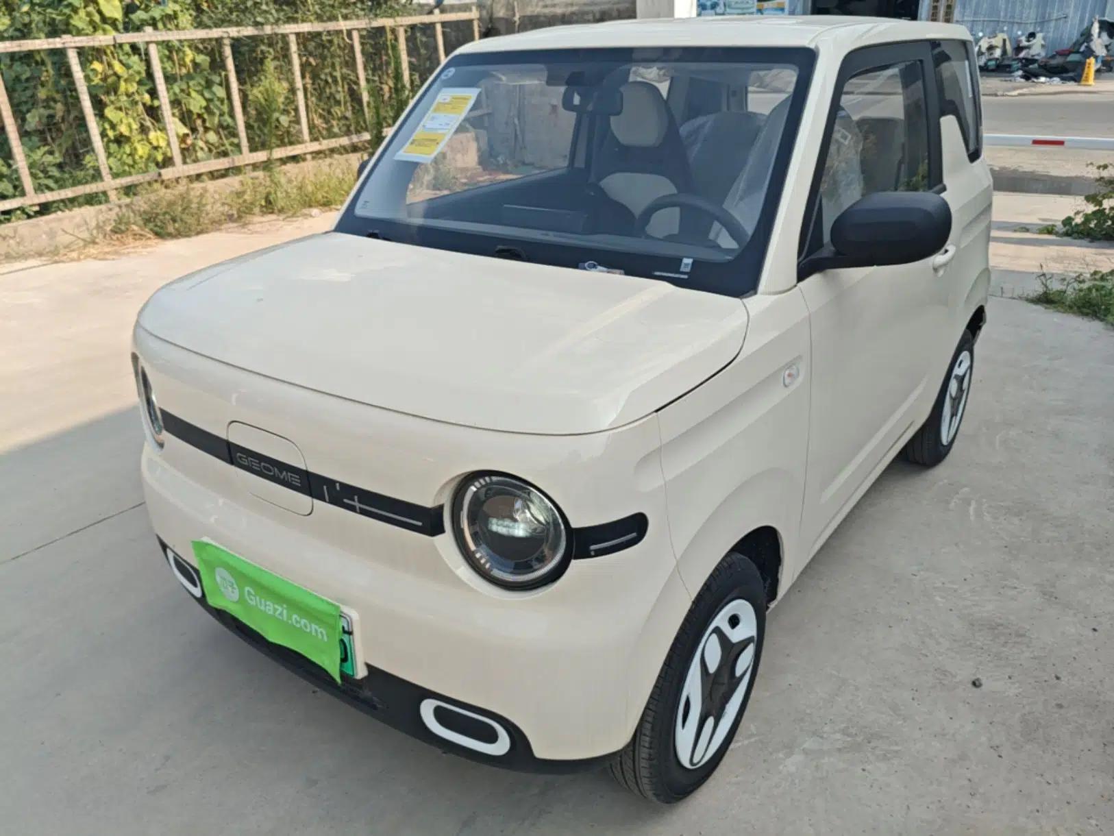 Geely Galaxy Panda 2025 210 km – Yuanqi Bear — миниатюра 1