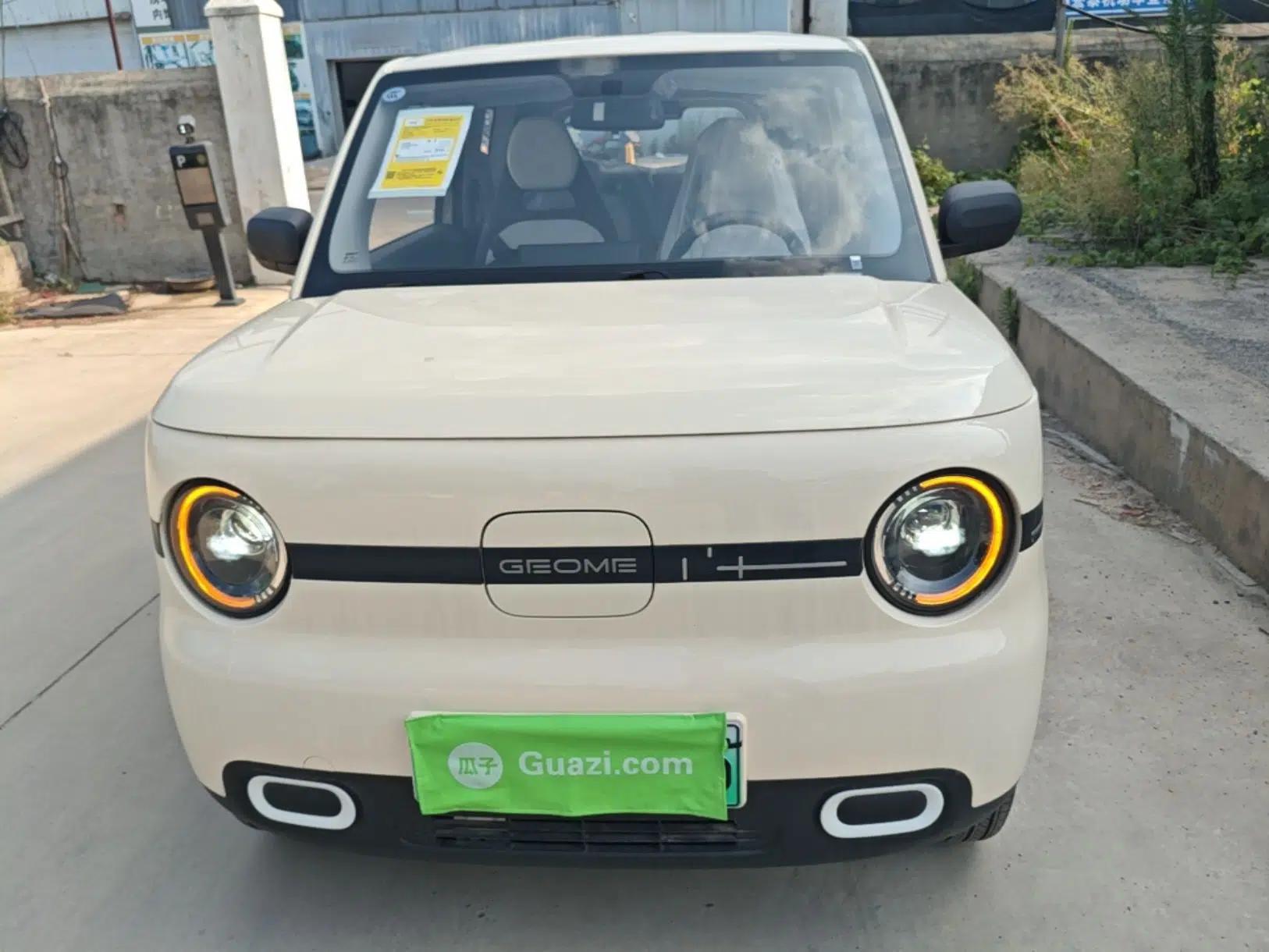Geely Galaxy Panda 2025 210 km – Yuanqi Bear — миниатюра 2