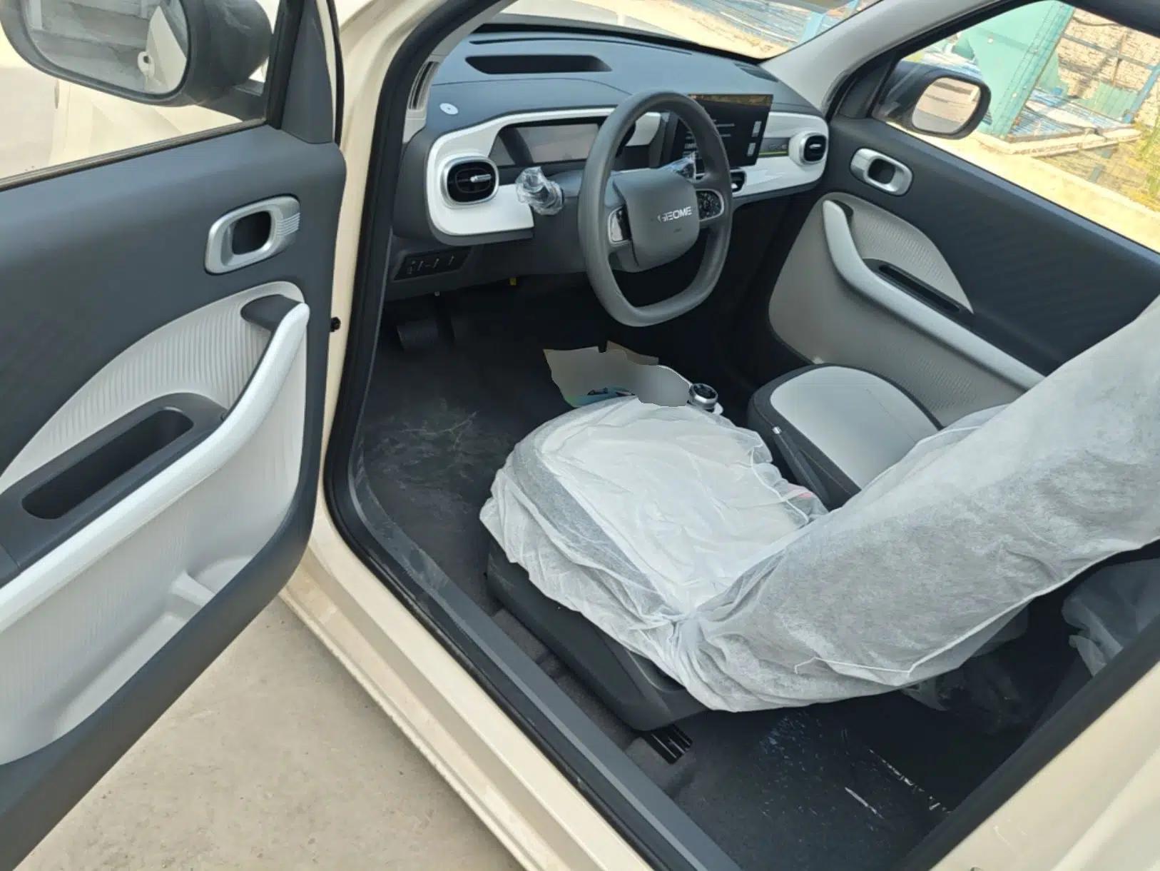 Geely Galaxy Panda 2025 210 km – Yuanqi Bear — миниатюра 18