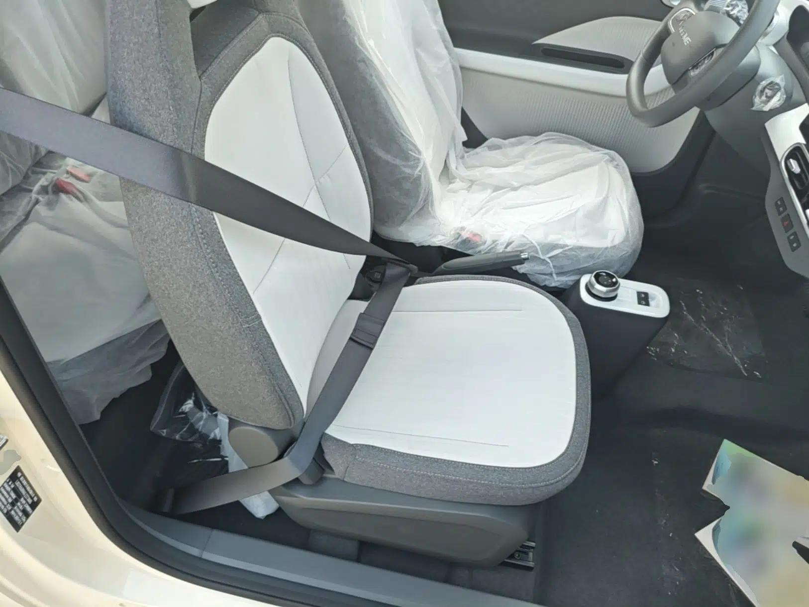Geely Galaxy Panda 2025 210 km – Yuanqi Bear — миниатюра 19