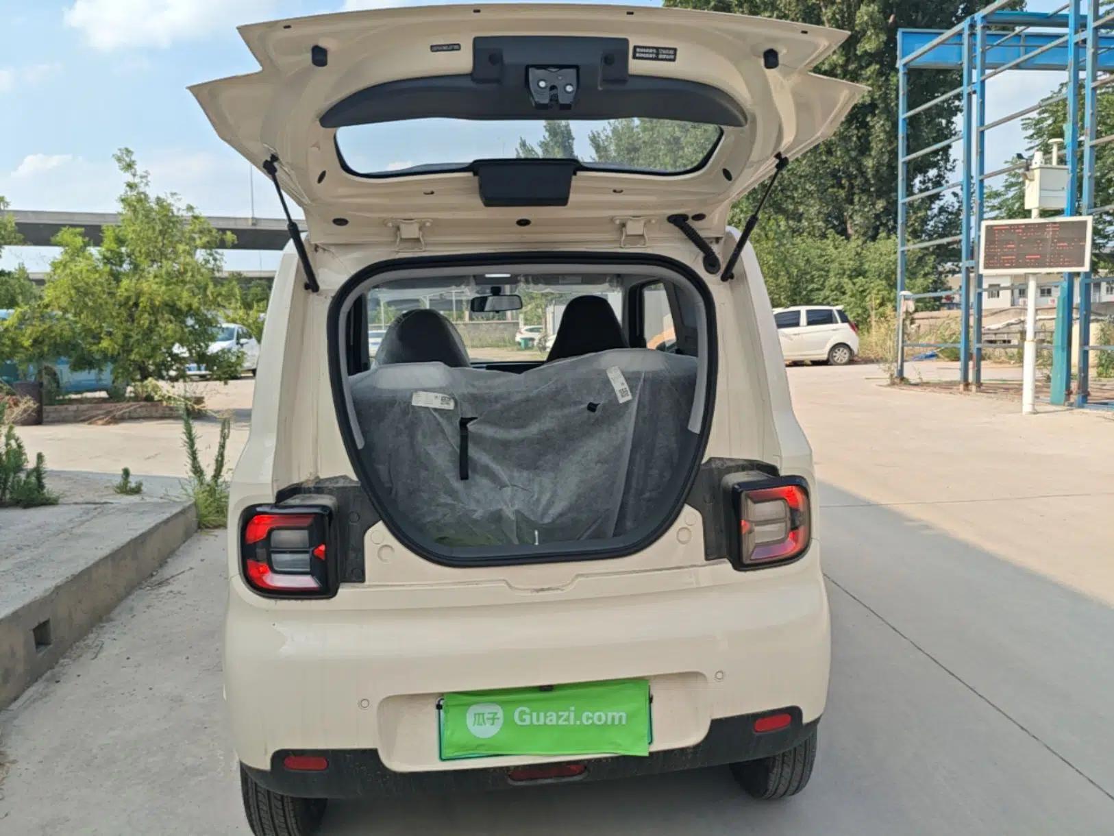 Geely Galaxy Panda 2025 210 km – Yuanqi Bear — миниатюра 22