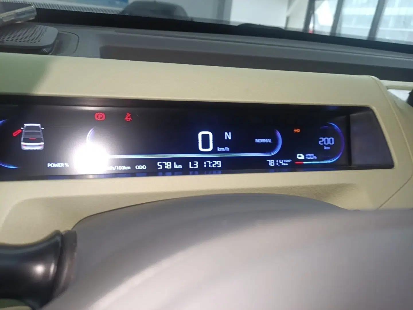Geely Galaxy Panda 2024 Panda Mini 200km Endurance Bear — миниатюра 14