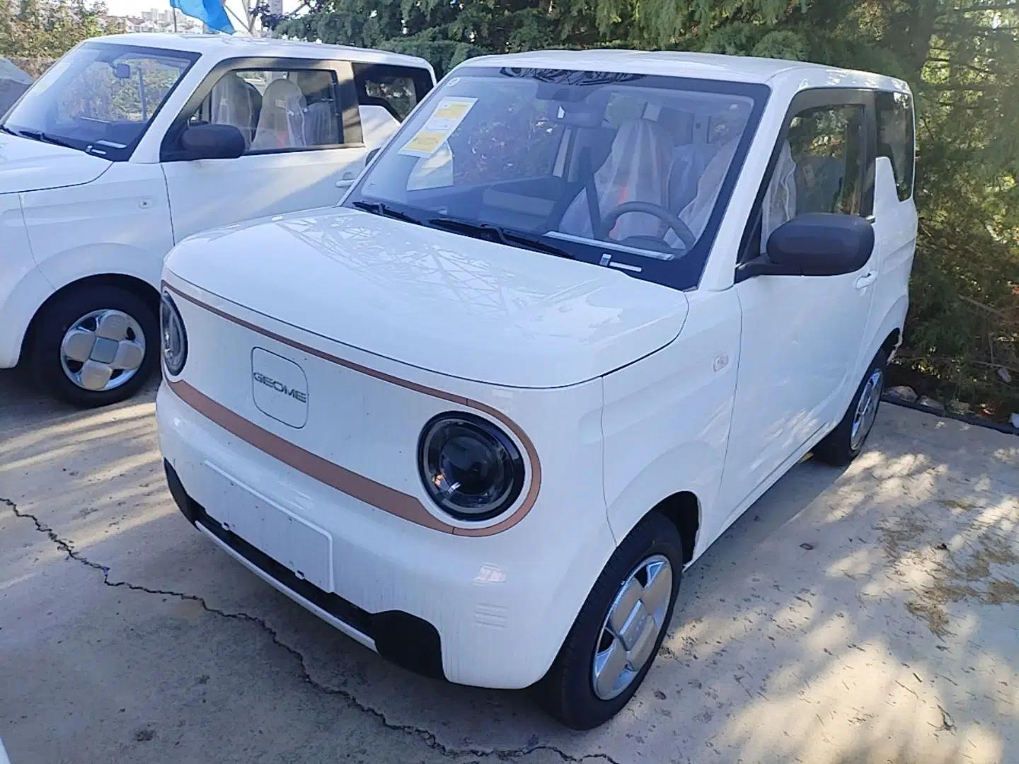 Geely Galaxy Panda 2024 Panda Mini 200km Endurance Bear — миниатюра 1