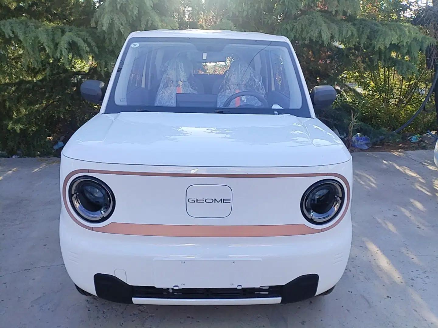 Geely Galaxy Panda 2024 Panda Mini 200km Endurance Bear — миниатюра 2