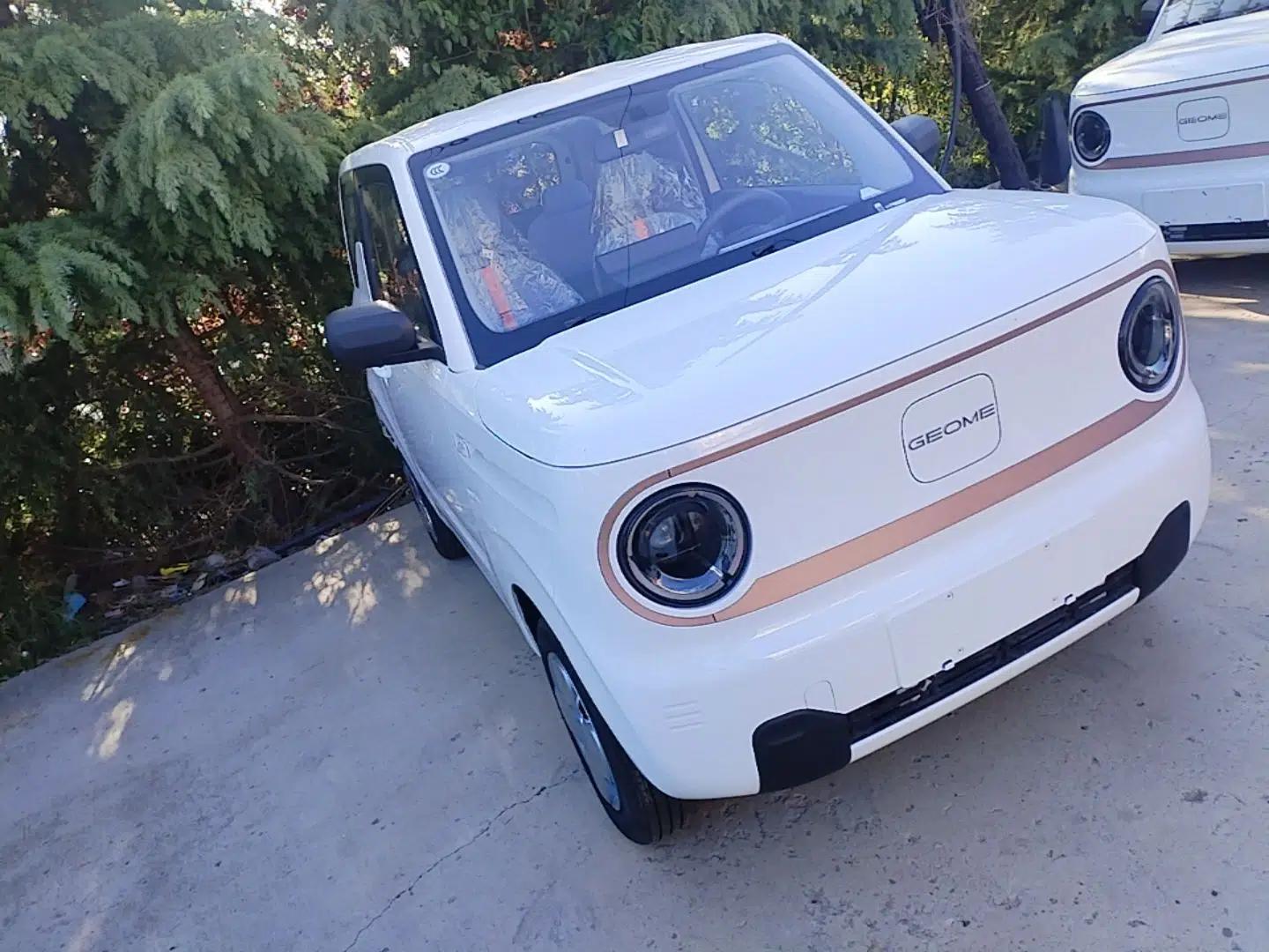 Geely Galaxy Panda 2024 Panda Mini 200km Endurance Bear — миниатюра 3