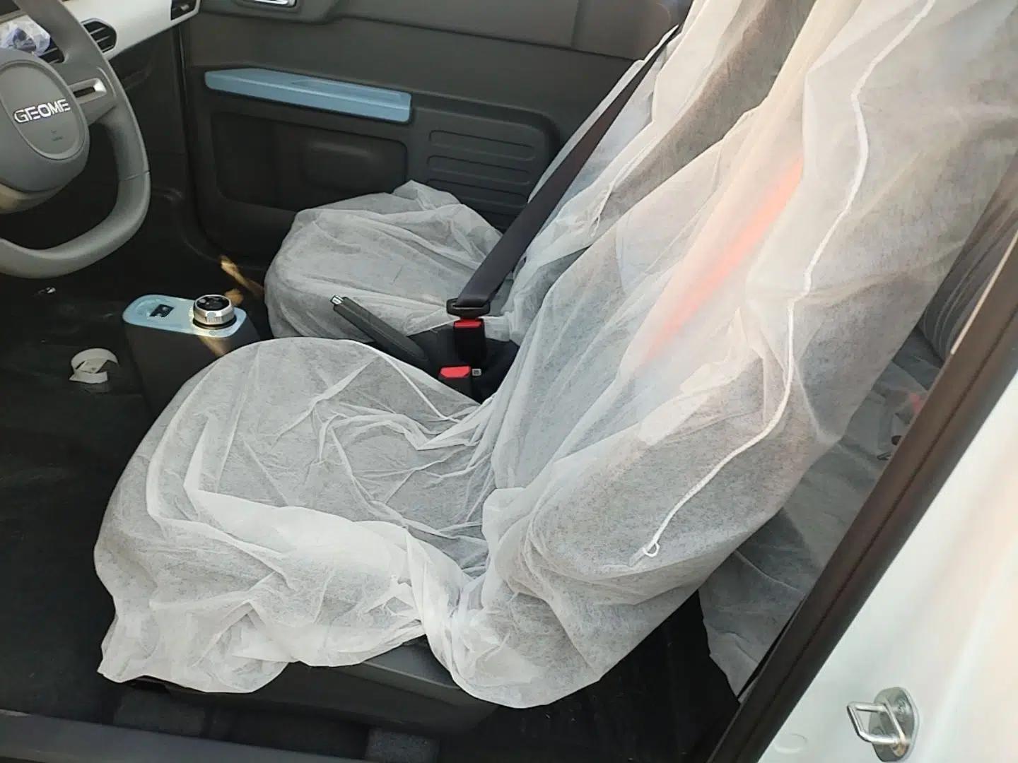 Geely Galaxy Panda 2024 Panda Mini 200km Endurance Bear — миниатюра 22