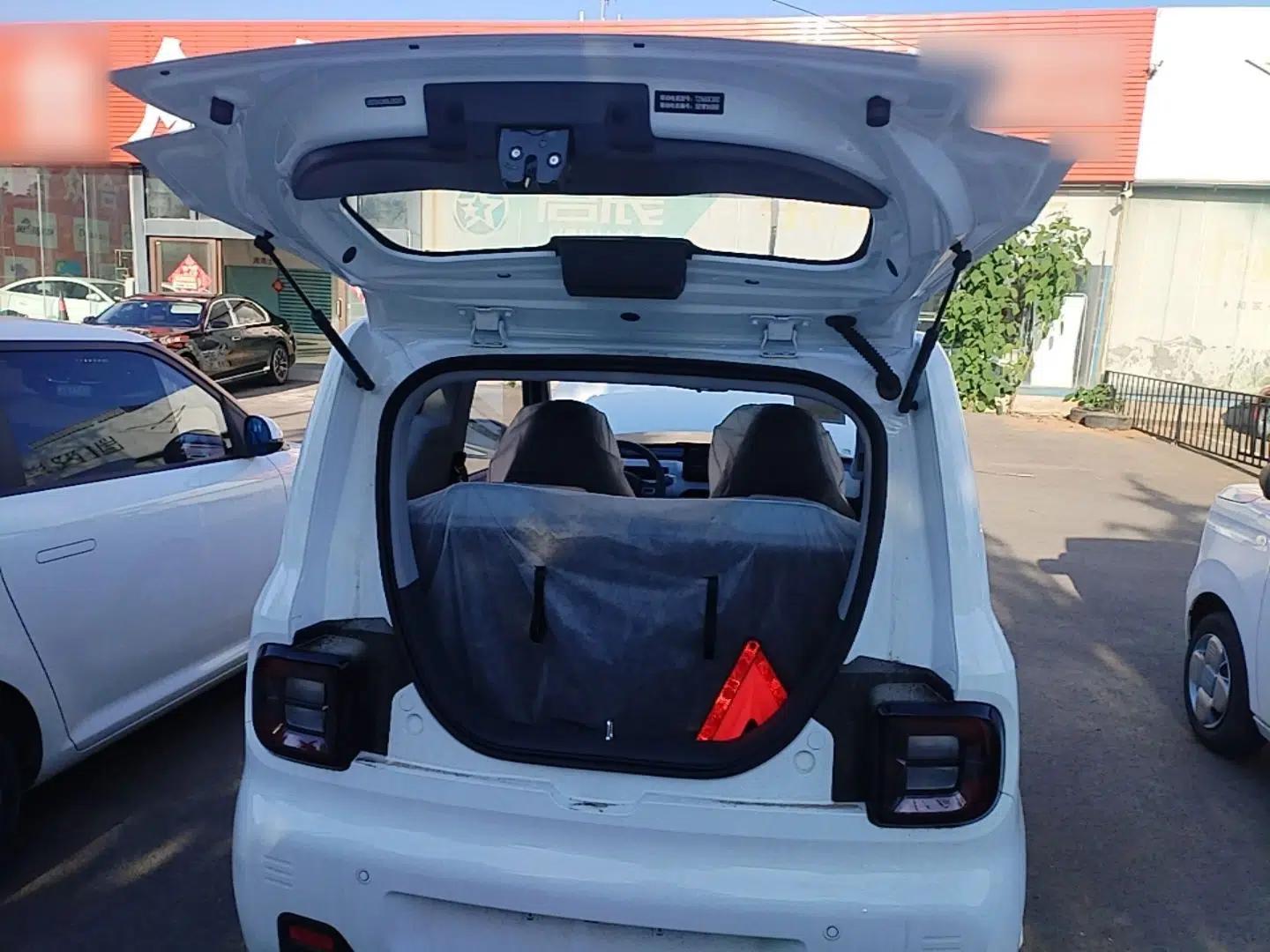 Geely Galaxy Panda 2024 Panda Mini 200km Endurance Bear — миниатюра 27