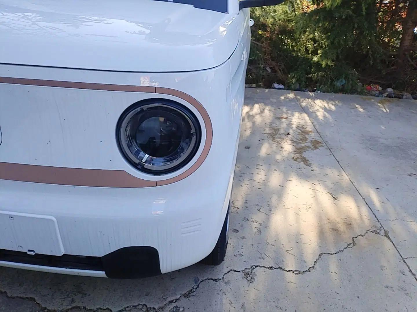 Geely Galaxy Panda 2024 Panda Mini 200km Endurance Bear — миниатюра 8