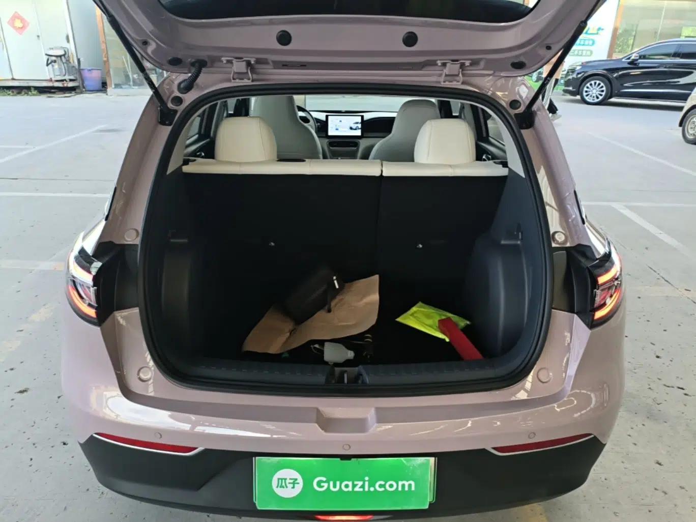 Geely Galaxy Geome 2025 310km Dream Edition — миниатюра 22