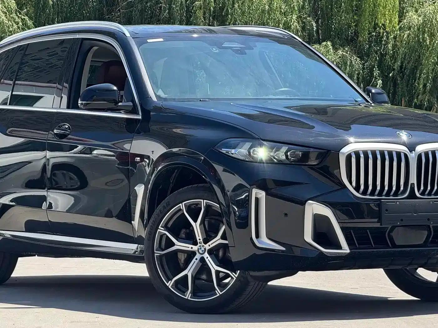 BMW X5 2023 xDrive 30Li Luxury M Sport Package — миниатюра 3