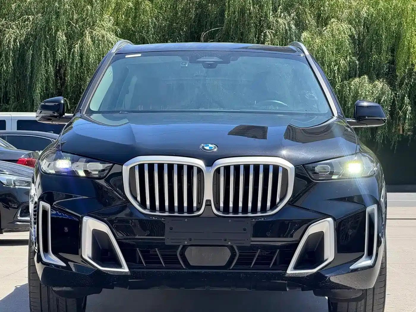 BMW X5 2023 xDrive 30Li Luxury M Sport Package — миниатюра 5
