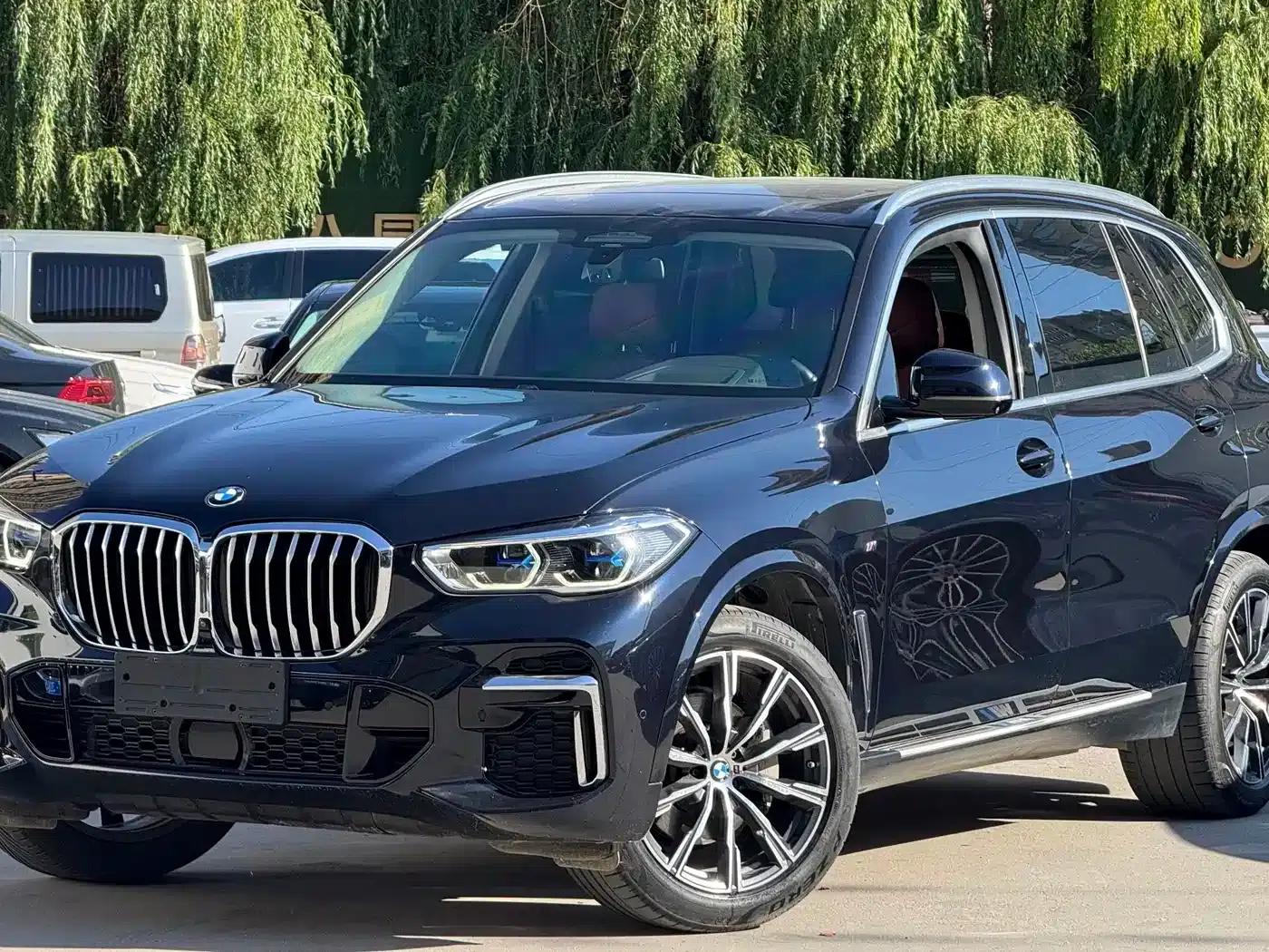 BMW X5 2023 xDrive 30Li Luxury M Sport Package — миниатюра 1