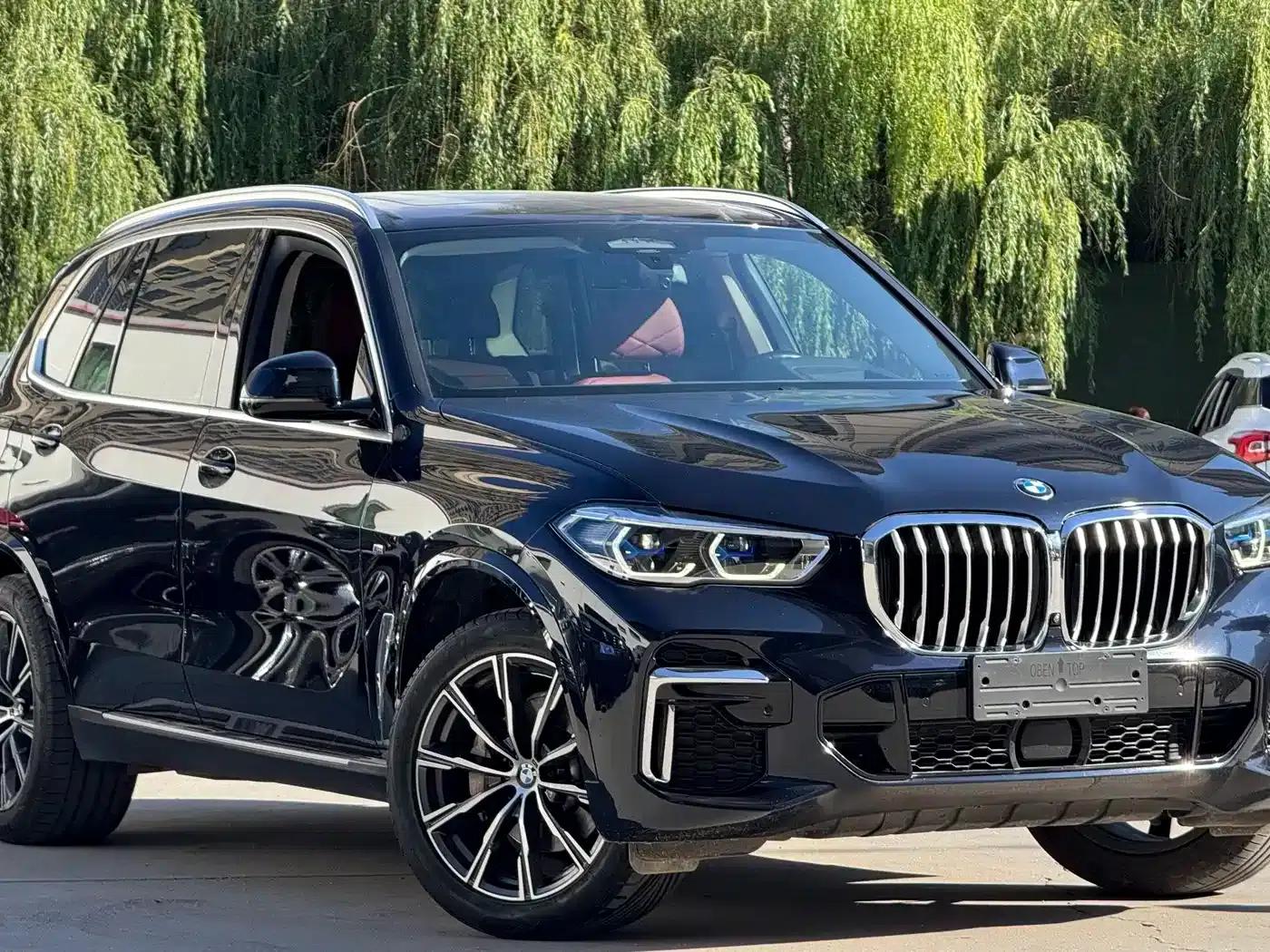 BMW X5 2023 xDrive 30Li Luxury M Sport Package — миниатюра 3