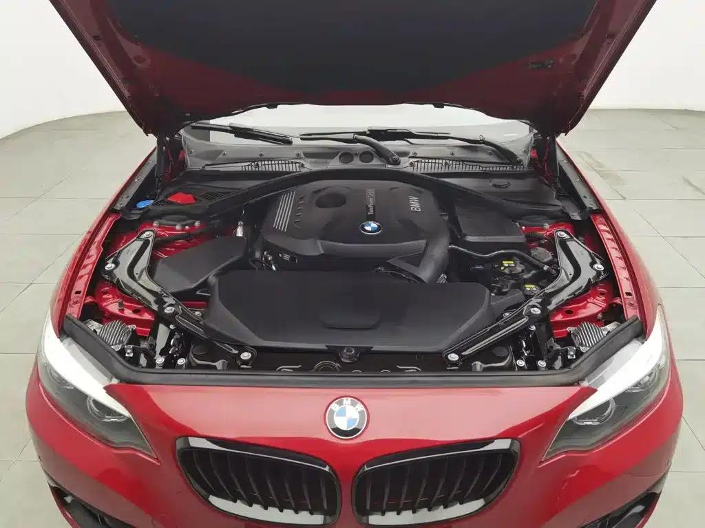 2019 BMW 2 Series (Imported) 225i Convertible Coupe Sport Design Package — миниатюра 6