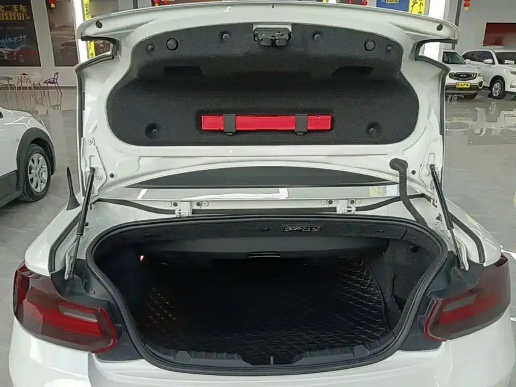 2015 BMW 2 Series Imported 218i Convertible Coupe — миниатюра 19