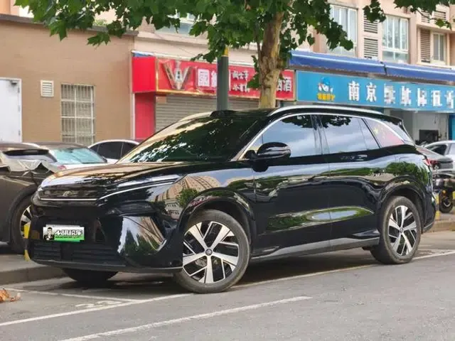 Tang L DM 2025 DM-i 215KM Two-Wheel Drive LiDAR Flagship Model