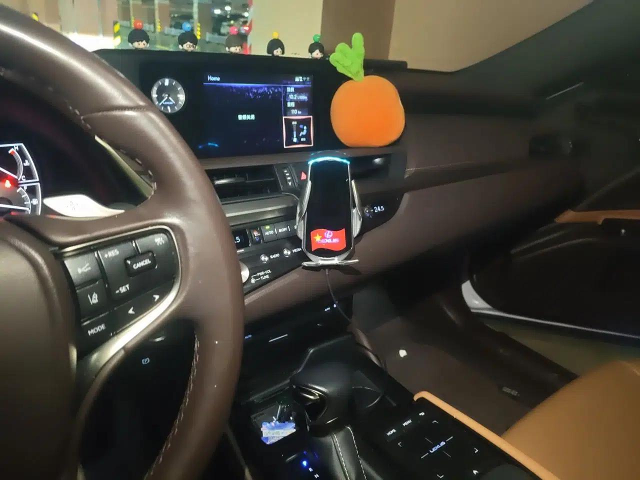 Lexus ES 2021 200 Excellence Edition — миниатюра 13