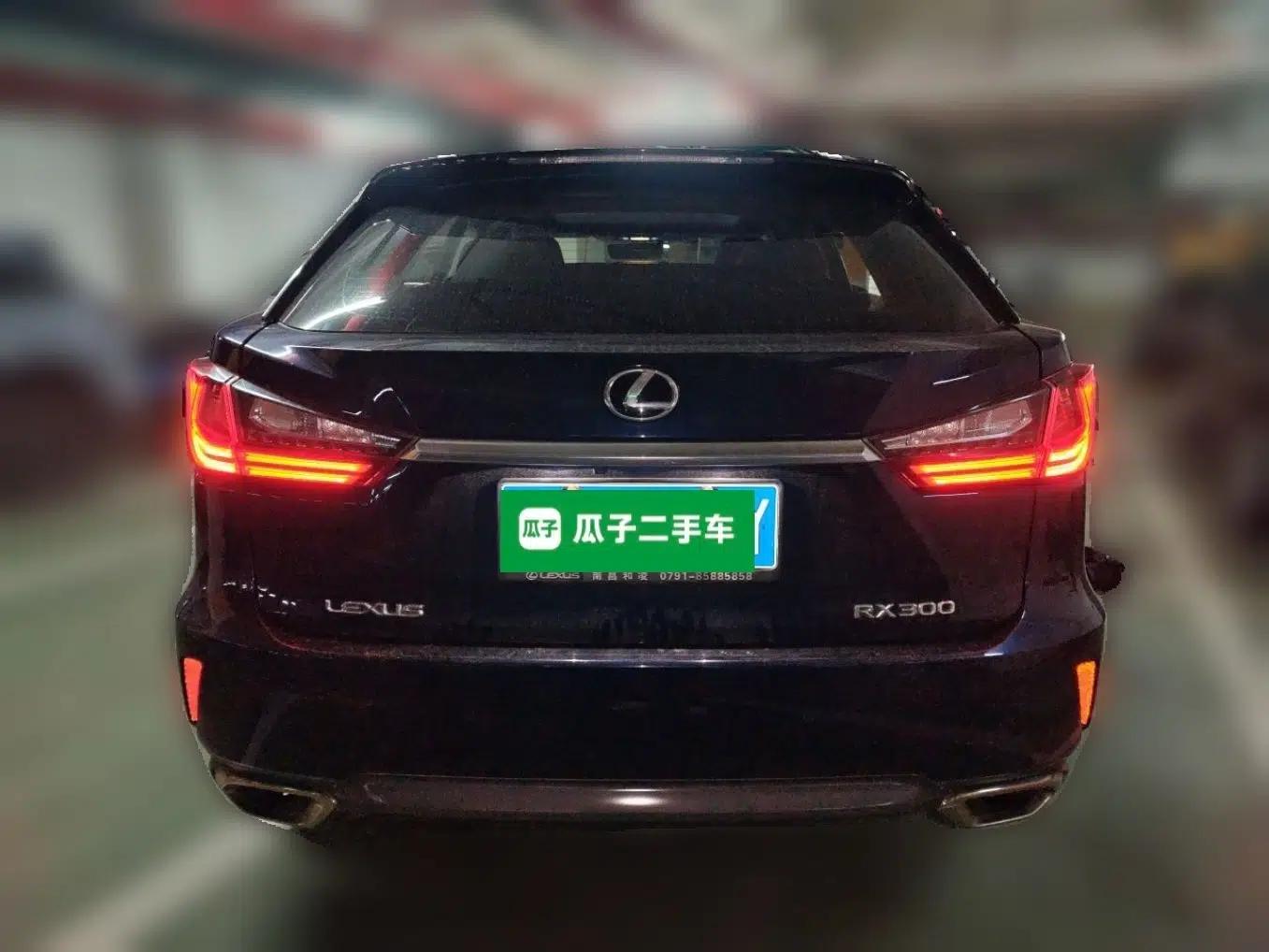 Lexus RX 2016 300 Two-Wheel Drive Elite Version China V Standard — миниатюра 5