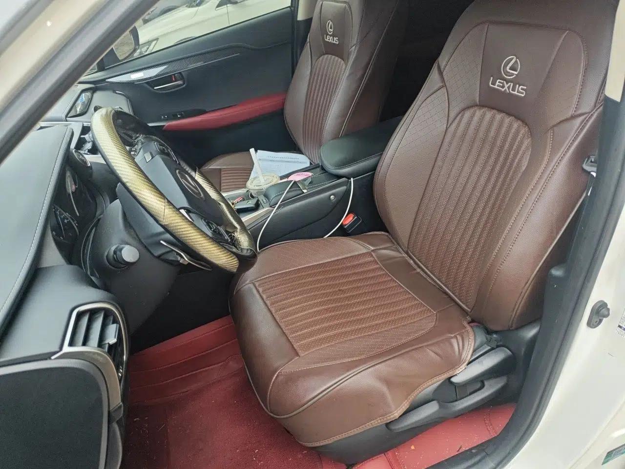 Lexus NX 2020 200 Front-Wheel Drive Freeline Edition China VI Standard — миниатюра 15