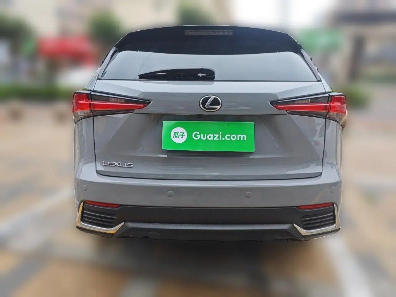 Lexus NX 2020 200 Front-Wheel Drive Freeline Edition China VI Standard — миниатюра 5