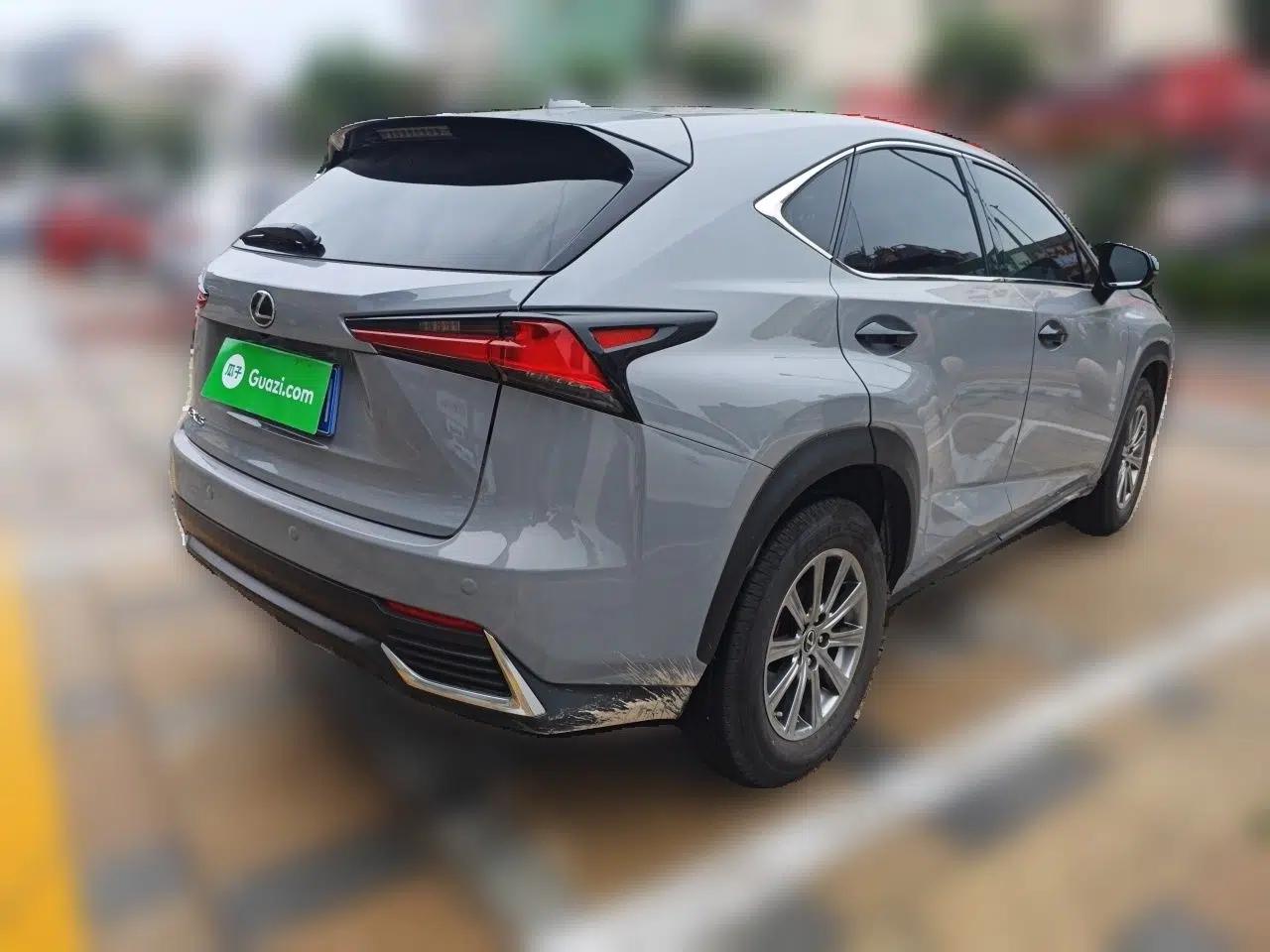 Lexus NX 2020 200 Front-Wheel Drive Freeline Edition China VI Standard — миниатюра 6