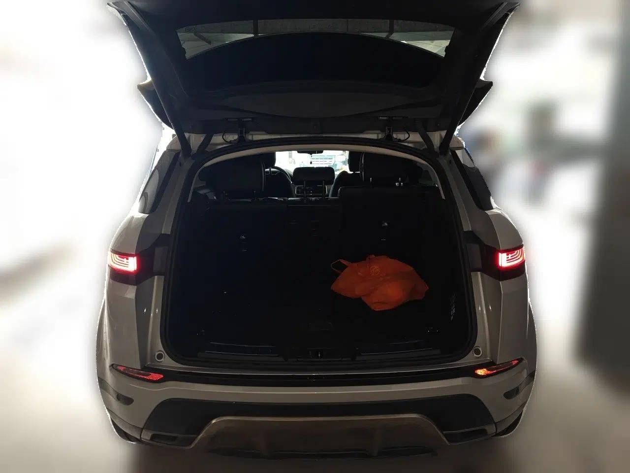 Land Rover Range Evoque 2023 Aurora L 249 PS Luxury Edition — миниатюра 19