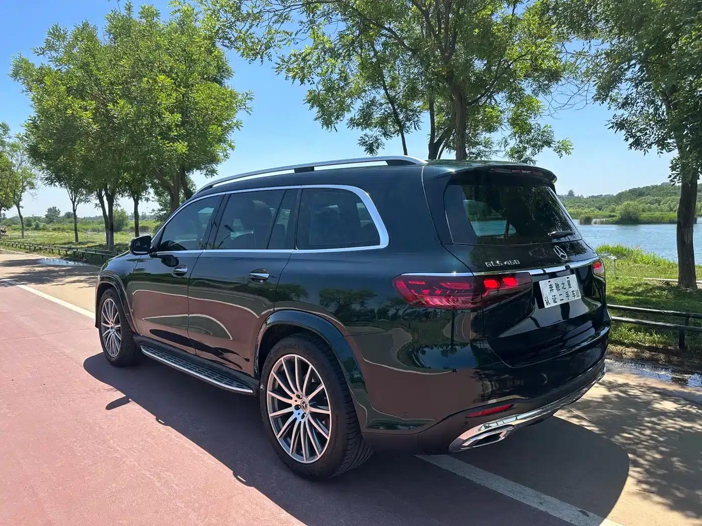 2024 Mercedes-Benz GLS 450 4MATIC Luxury — миниатюра 24