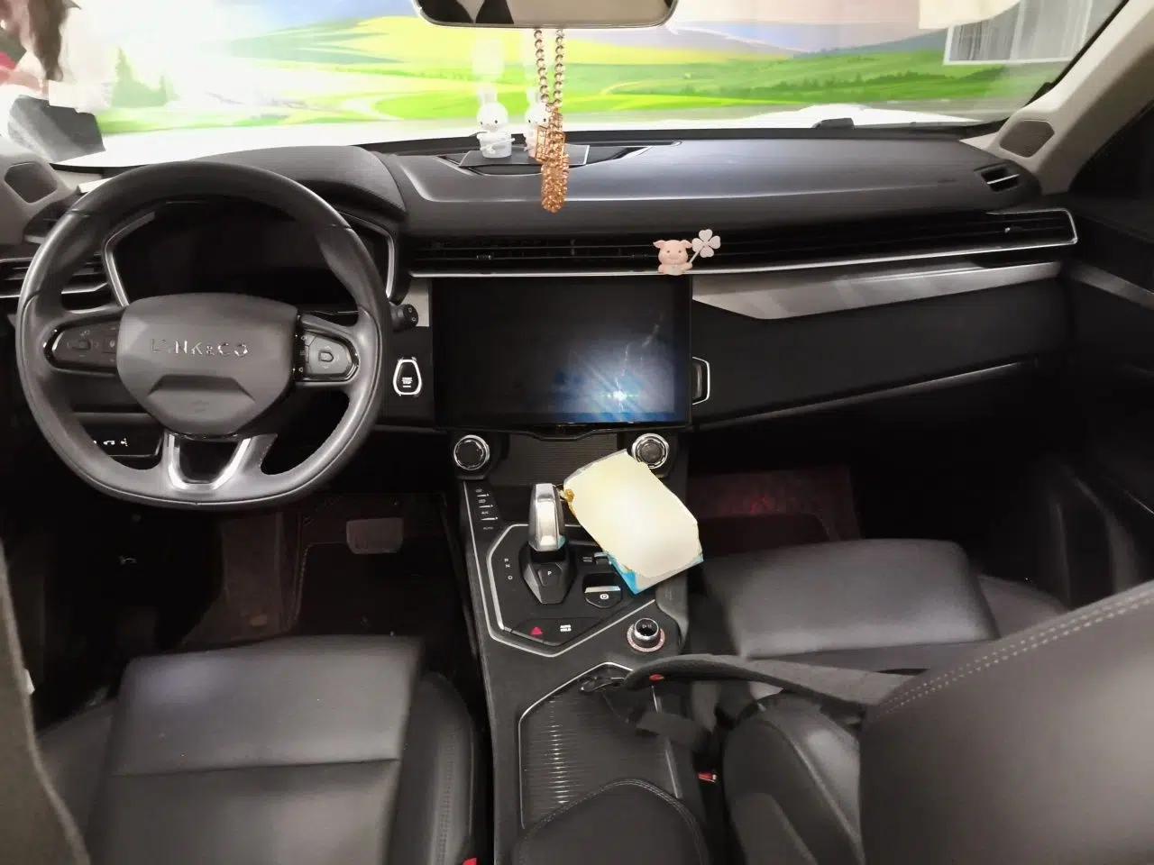 Lynk & Co 01 2021 2.0TD Two-Wheel-Drive Pro Trim — миниатюра 9